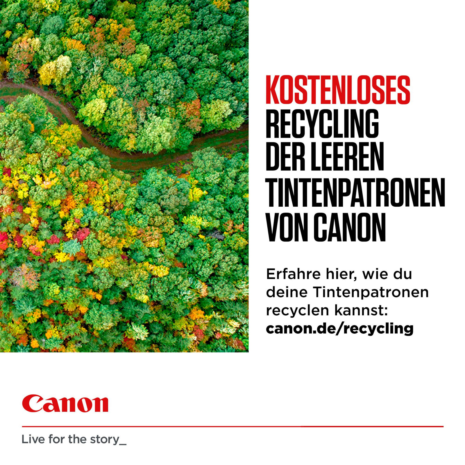 CANON PG-585XL (Schwarz) Druckerpatrone