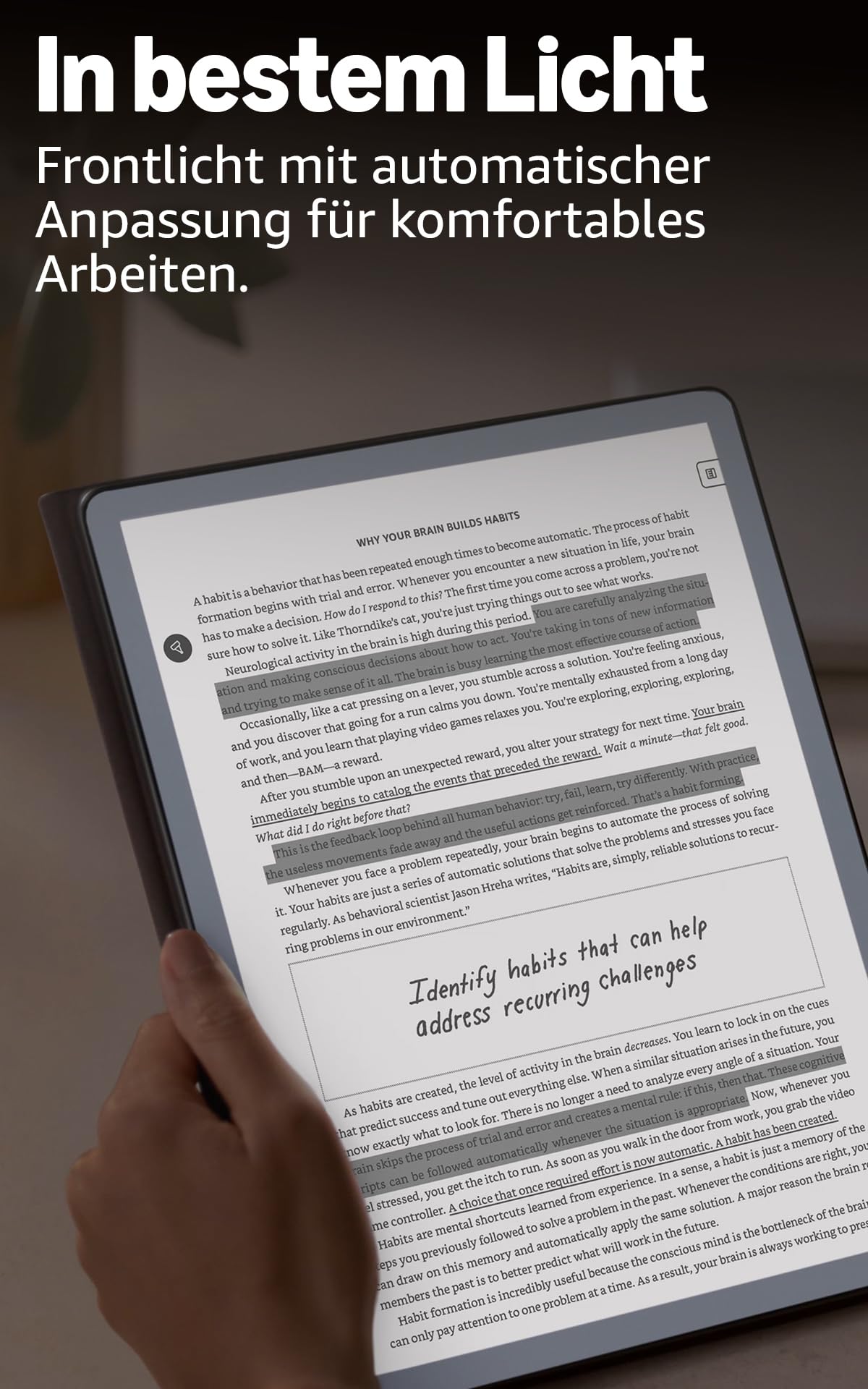 Amazon Kindle Scribe 32 GB Ebook Reader