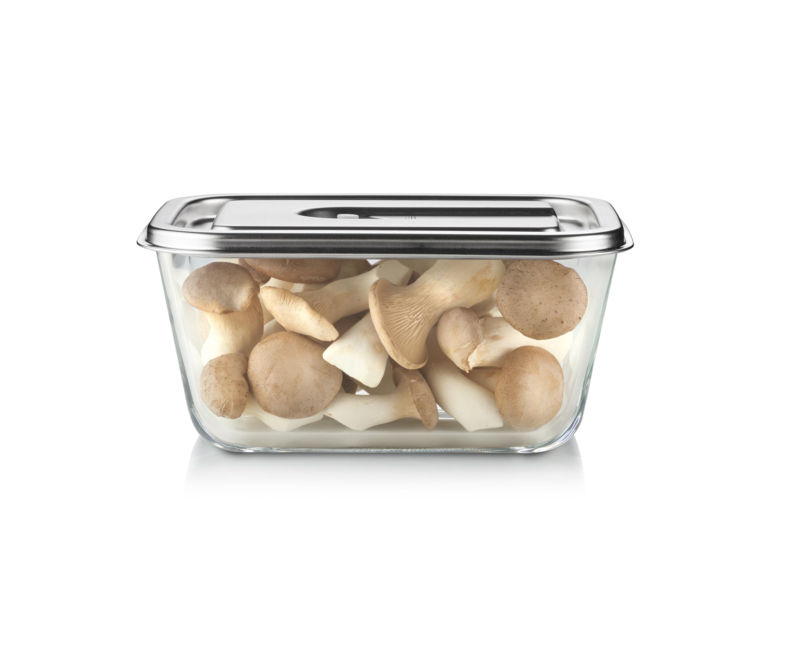 Caso VacuBoxx Inox 2.6 - Vakuum-Frischebehälter, 2600 ml