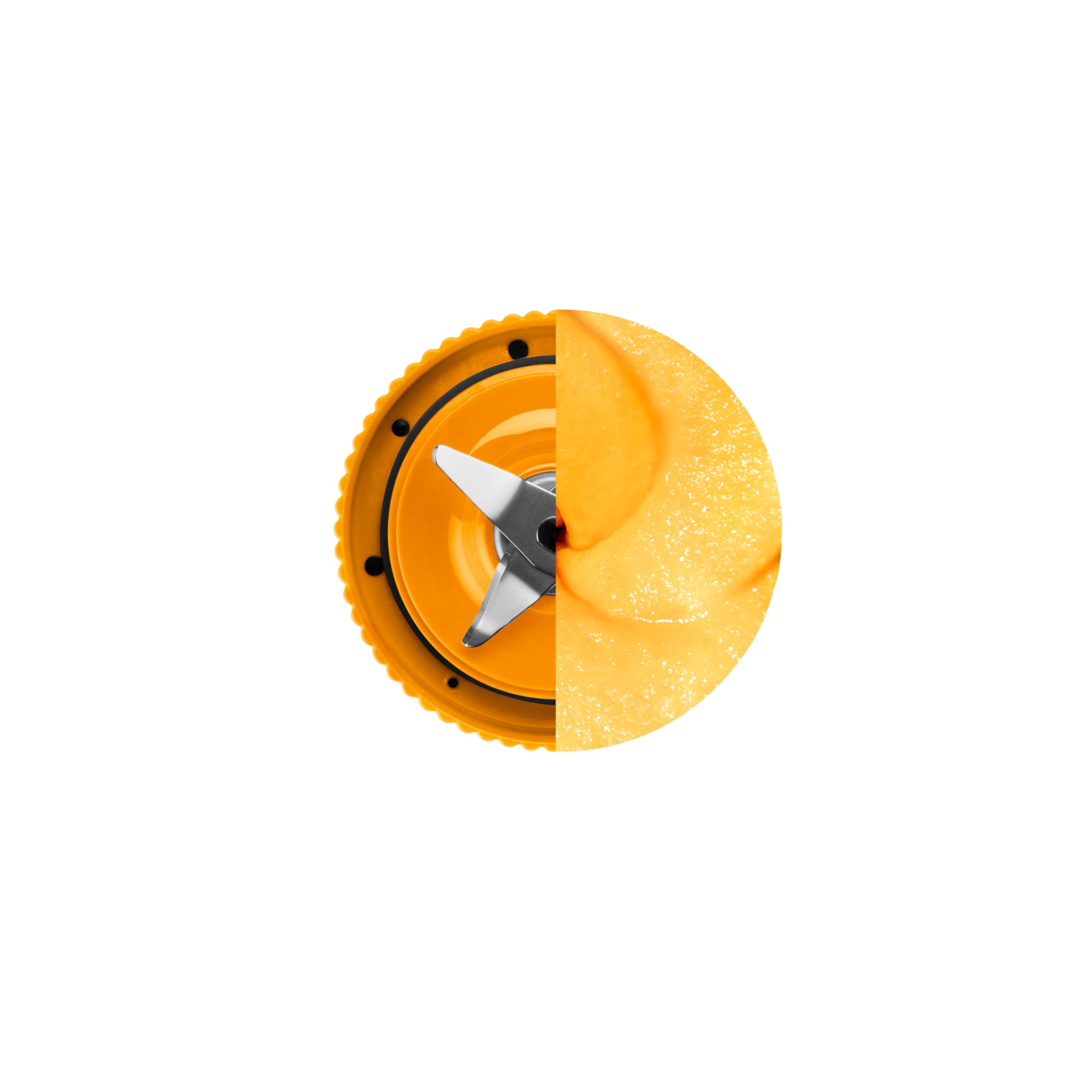 Nutribullet NBP013 Flex Standmixer