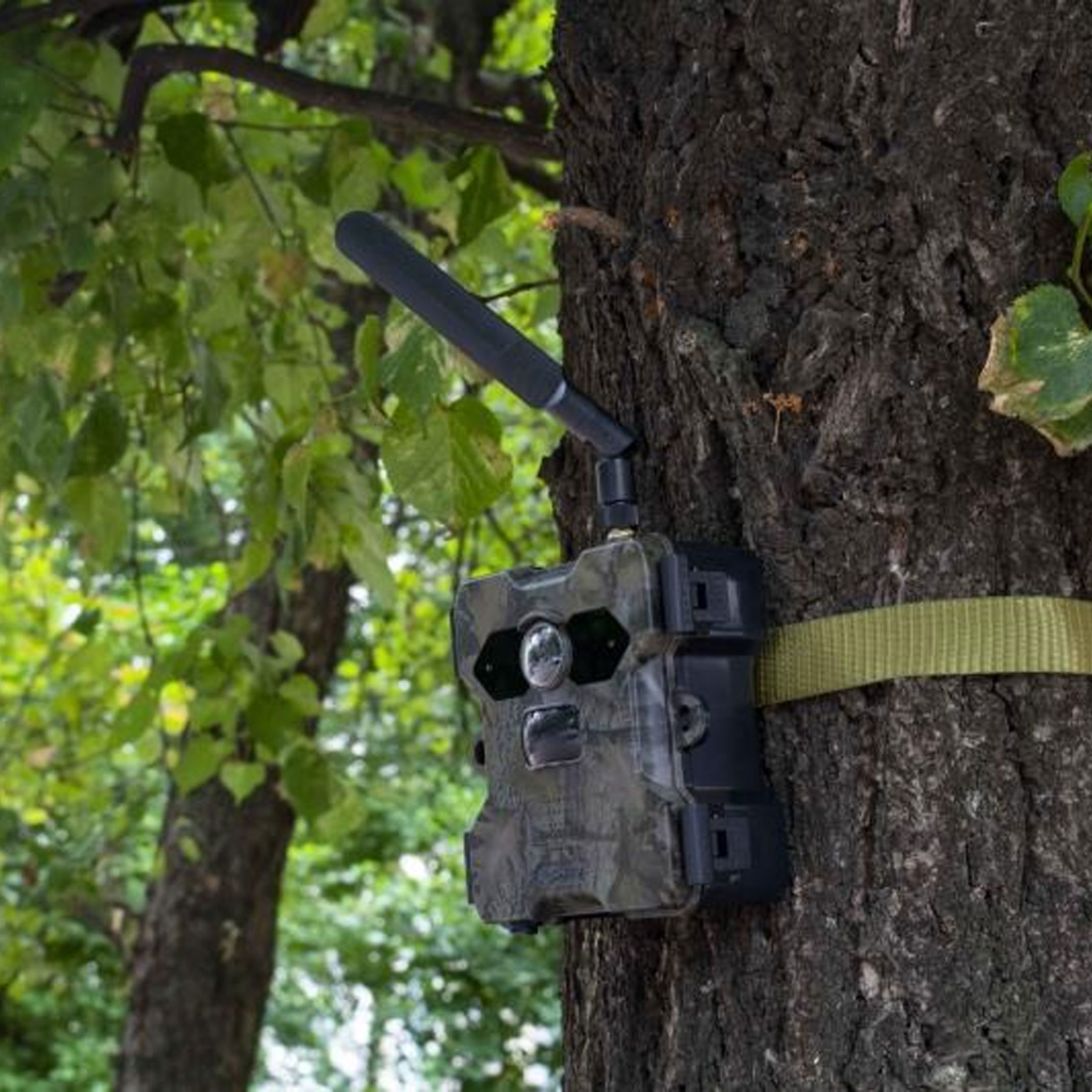 Technaxx TX-189 4G Wildkamera