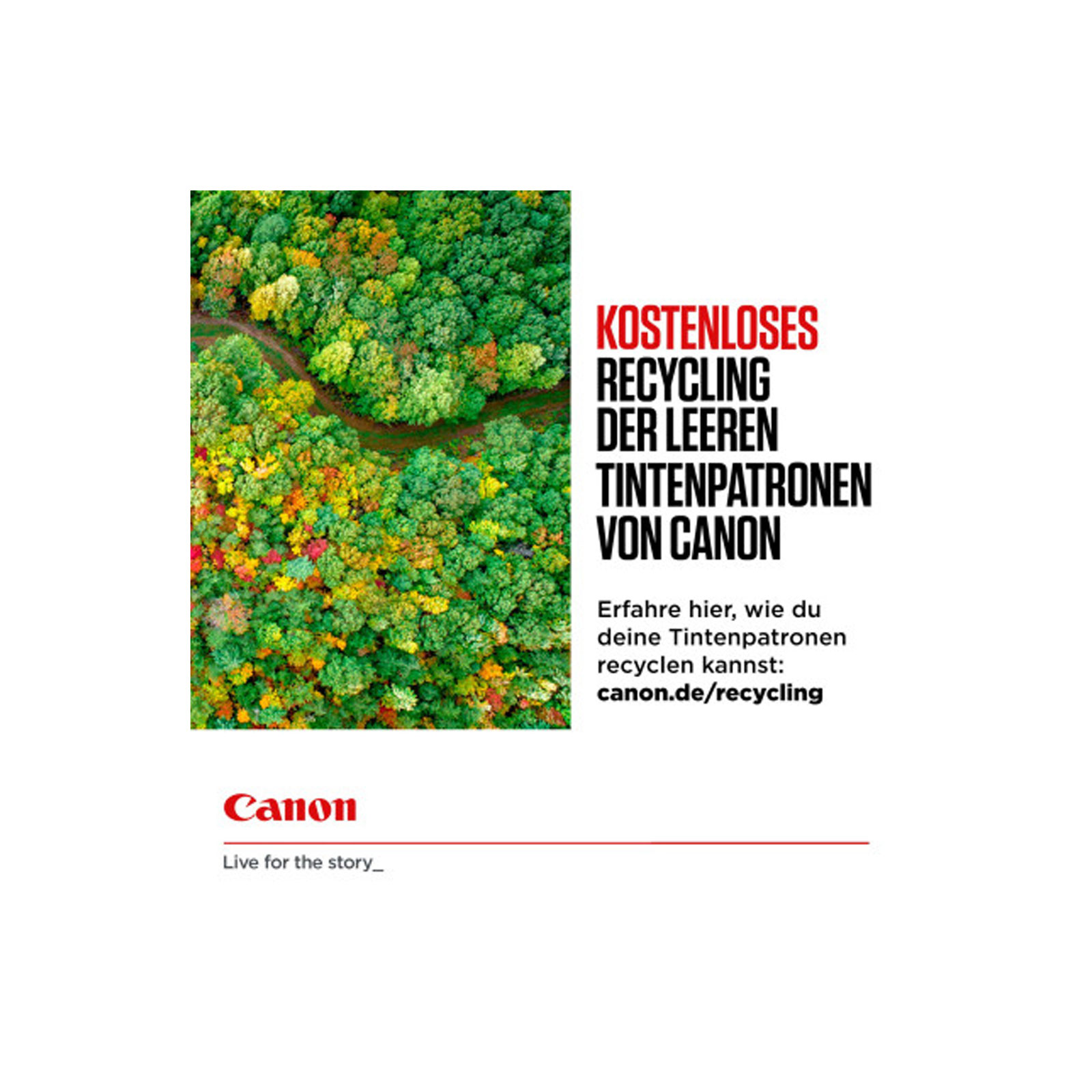 CANON PGI-580/CLI-581 PGBK/C/M/Y/BK Multipack Druckerpatronen