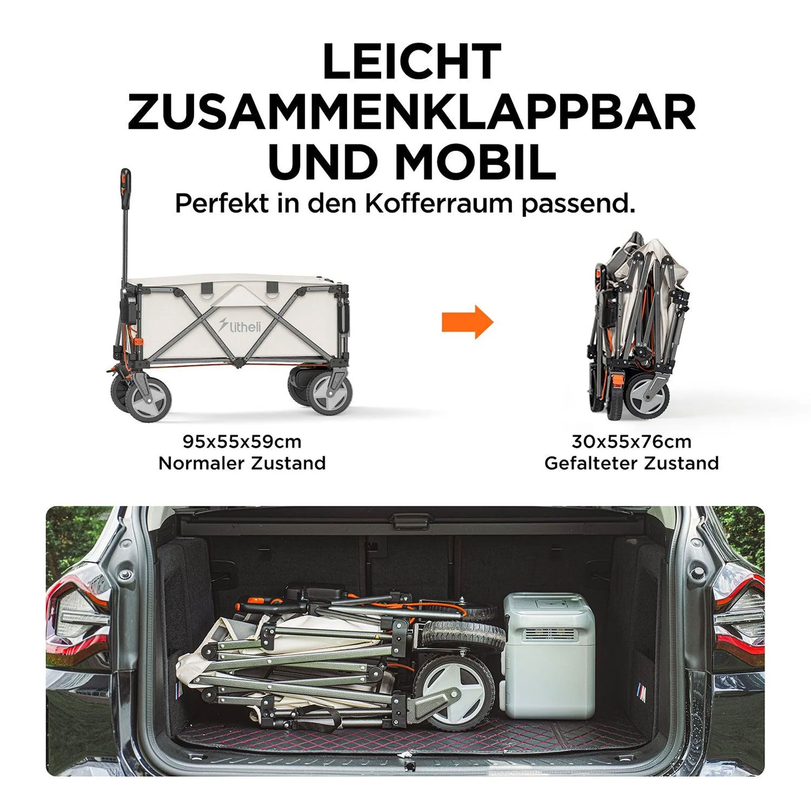 Litheli U20 E-Bollerwagen W1 Pro 500W