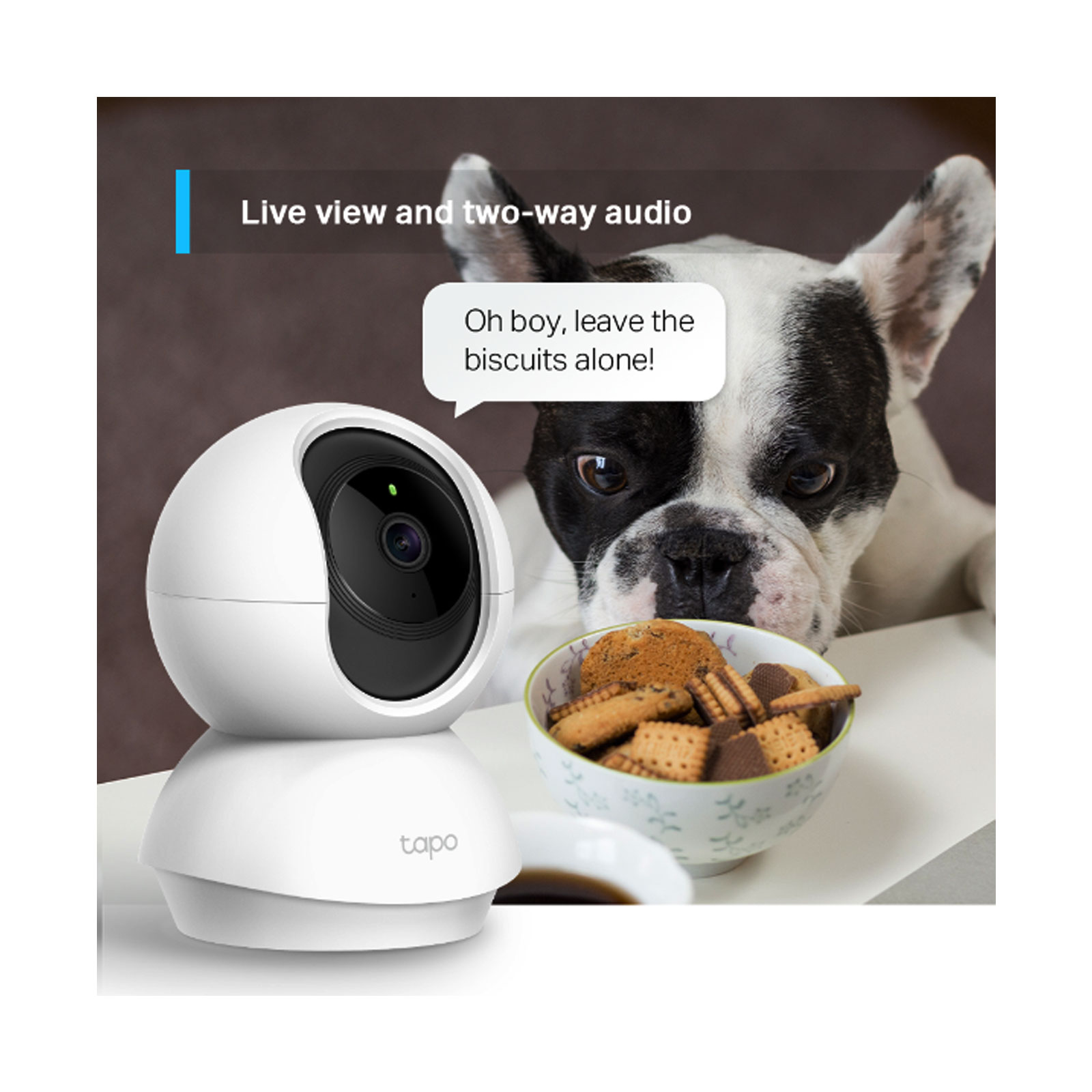 TP-Link TC70 Schwenk-/Neige-Heimsicherheits-Wi-Fi-Kamera TP-Link TC70 Schwenk-/Neige-Heimsicherheits-Wi-Fi-Kamera