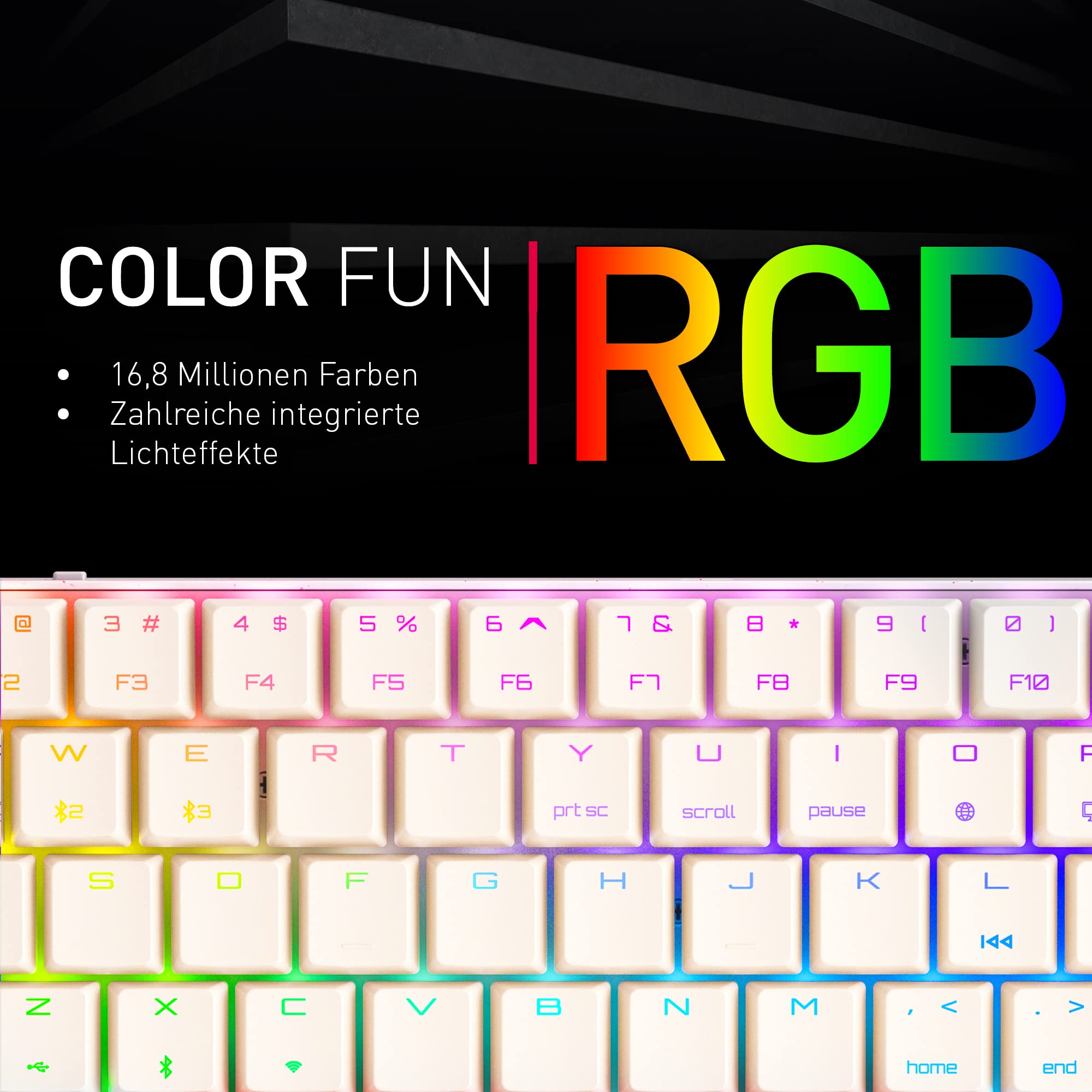 CHERRY MX-LP 2.1 Compact Wireless, Kabellose Gaming-Tastatur mit 69 Tasten