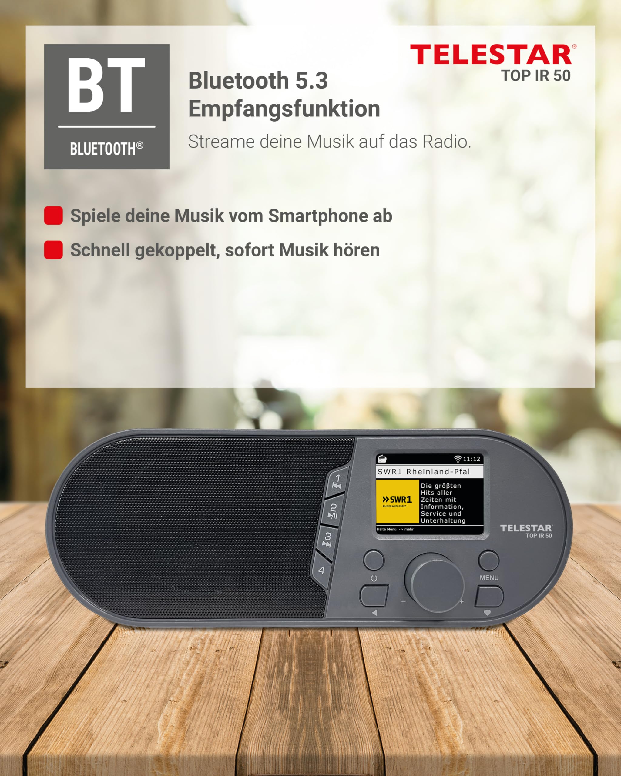 TELESTAR TOP IR 50 – Internetradio