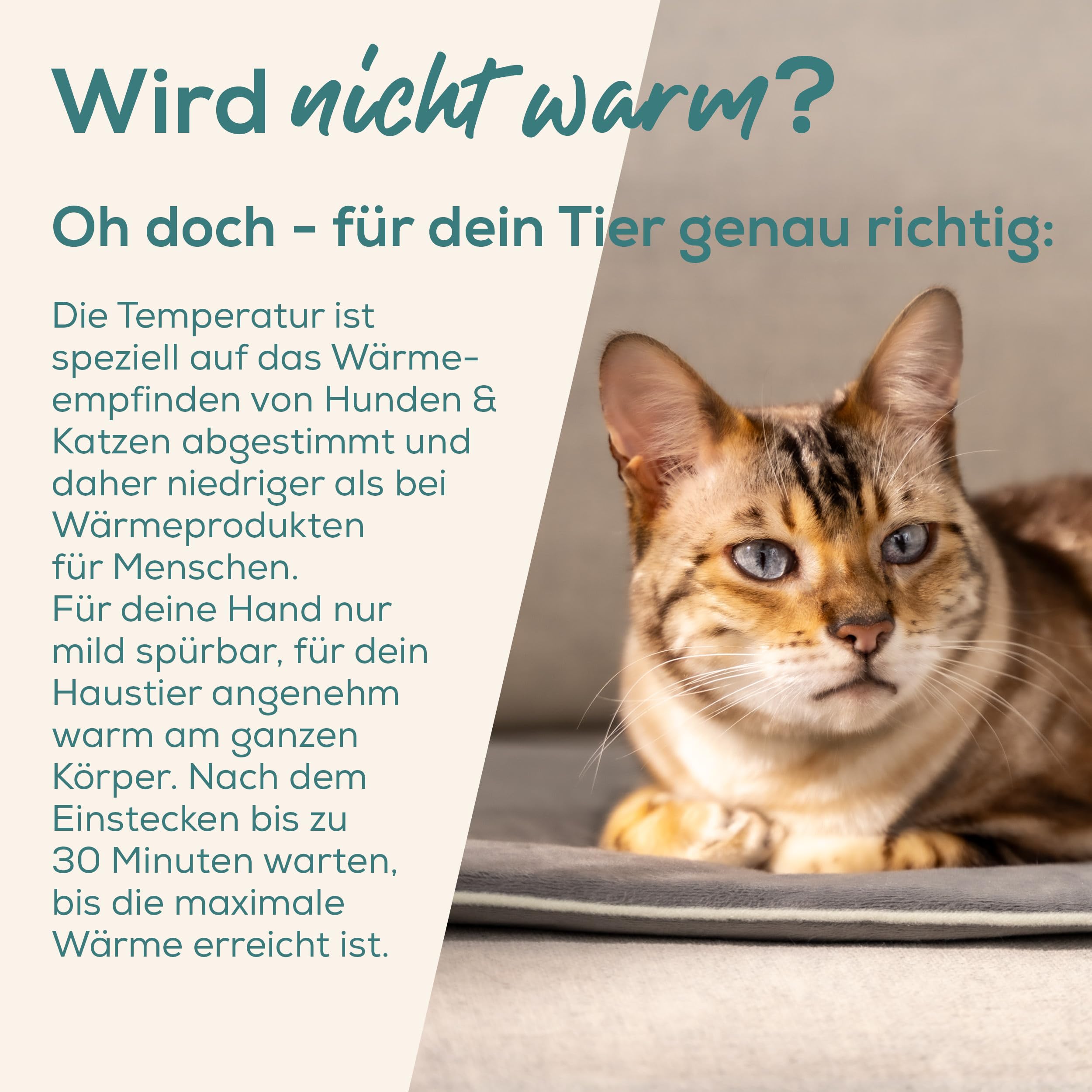 Love Your Pet by beurer PP 210 Lilli Haustier-Heizmatte