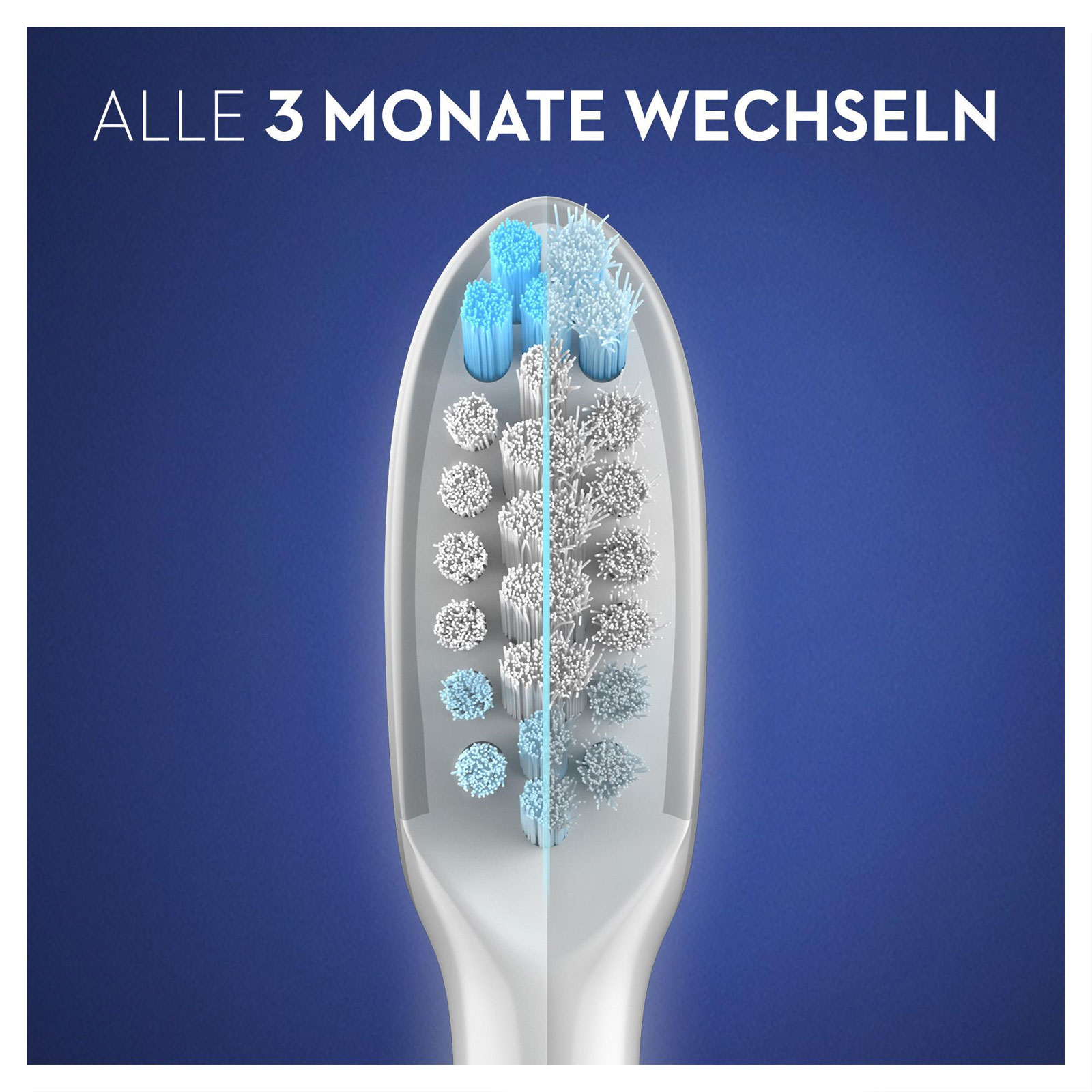 Oral-B Pulsonic Clean Aufsteckbürsten, 2 Stück