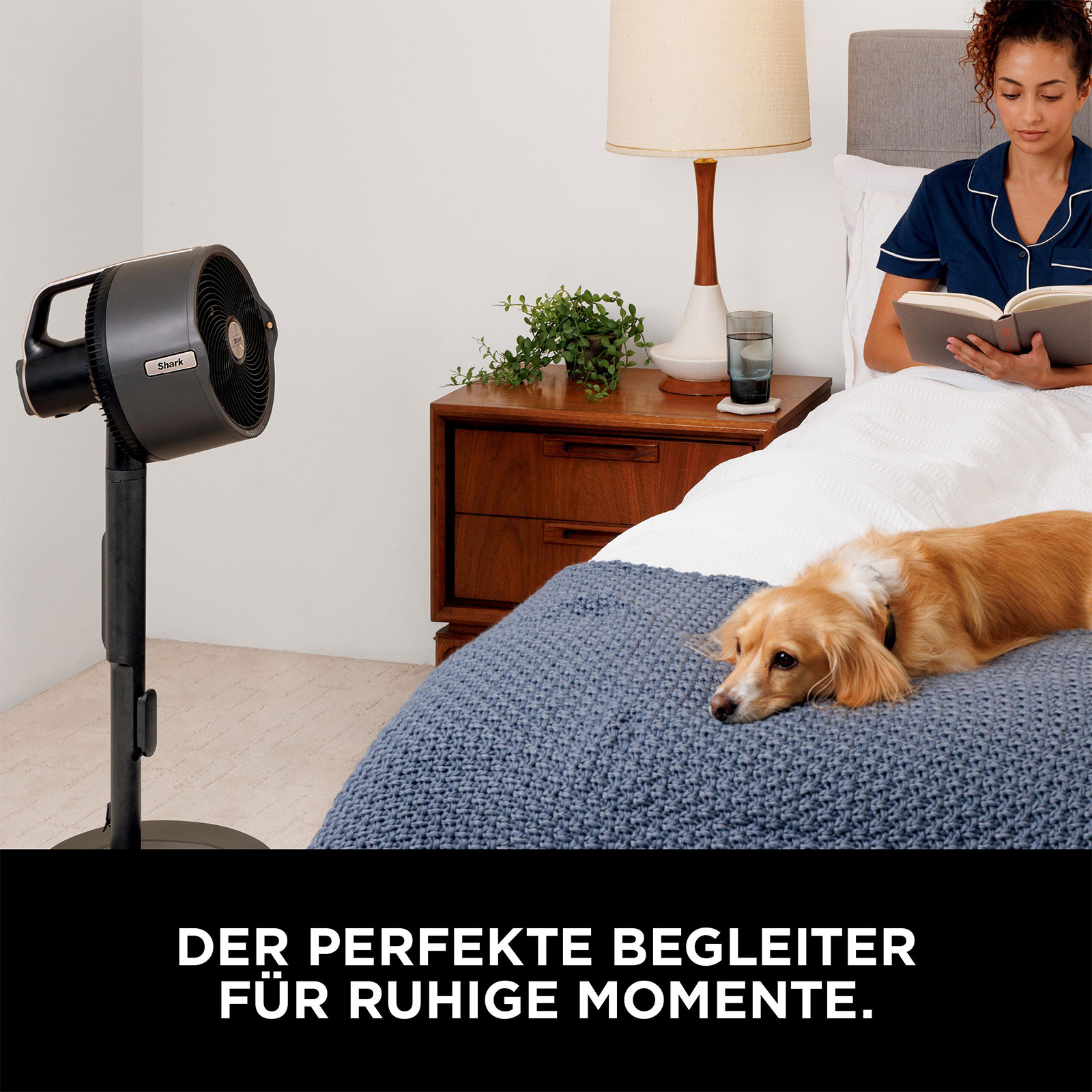 Shark FA300EU FlexBreeze MistPro Standventilator