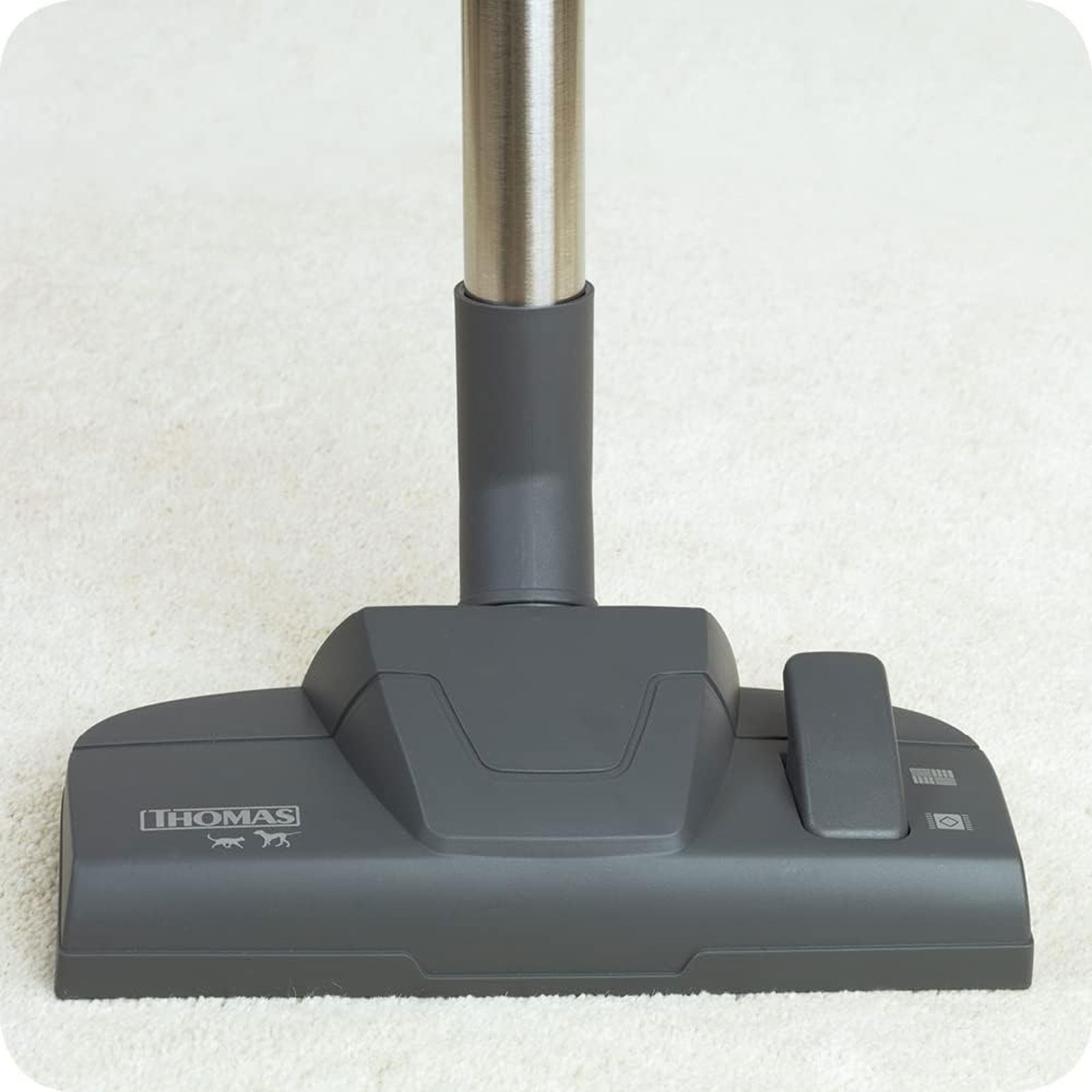 THOMAS DryBox Amfibia Pet Waschsauger