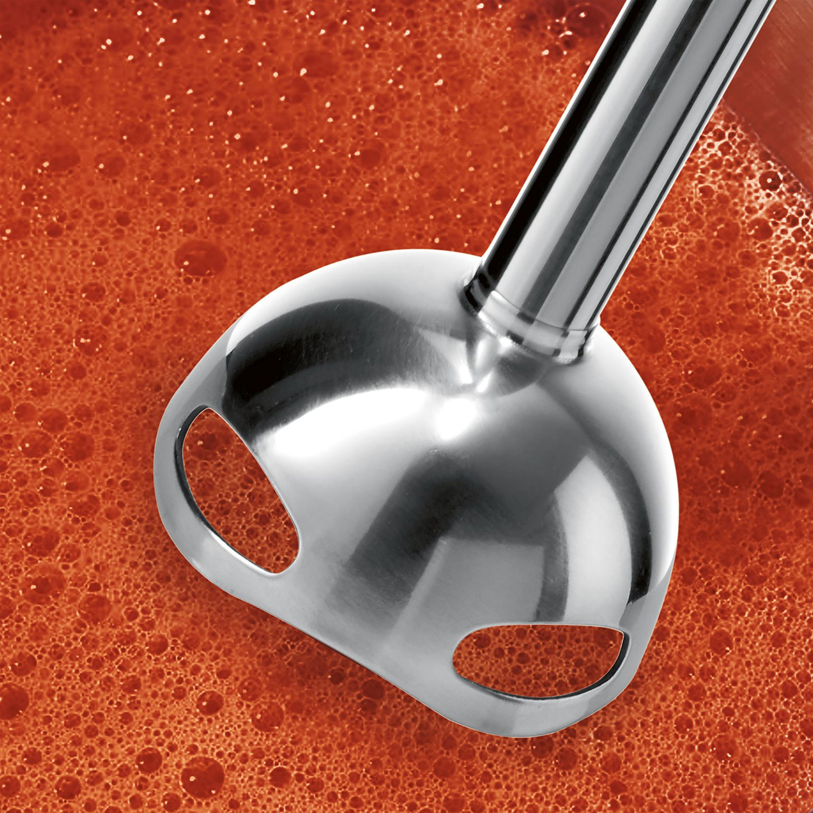 Bosch MS6CM6155 ErgoMixx Stabmixer