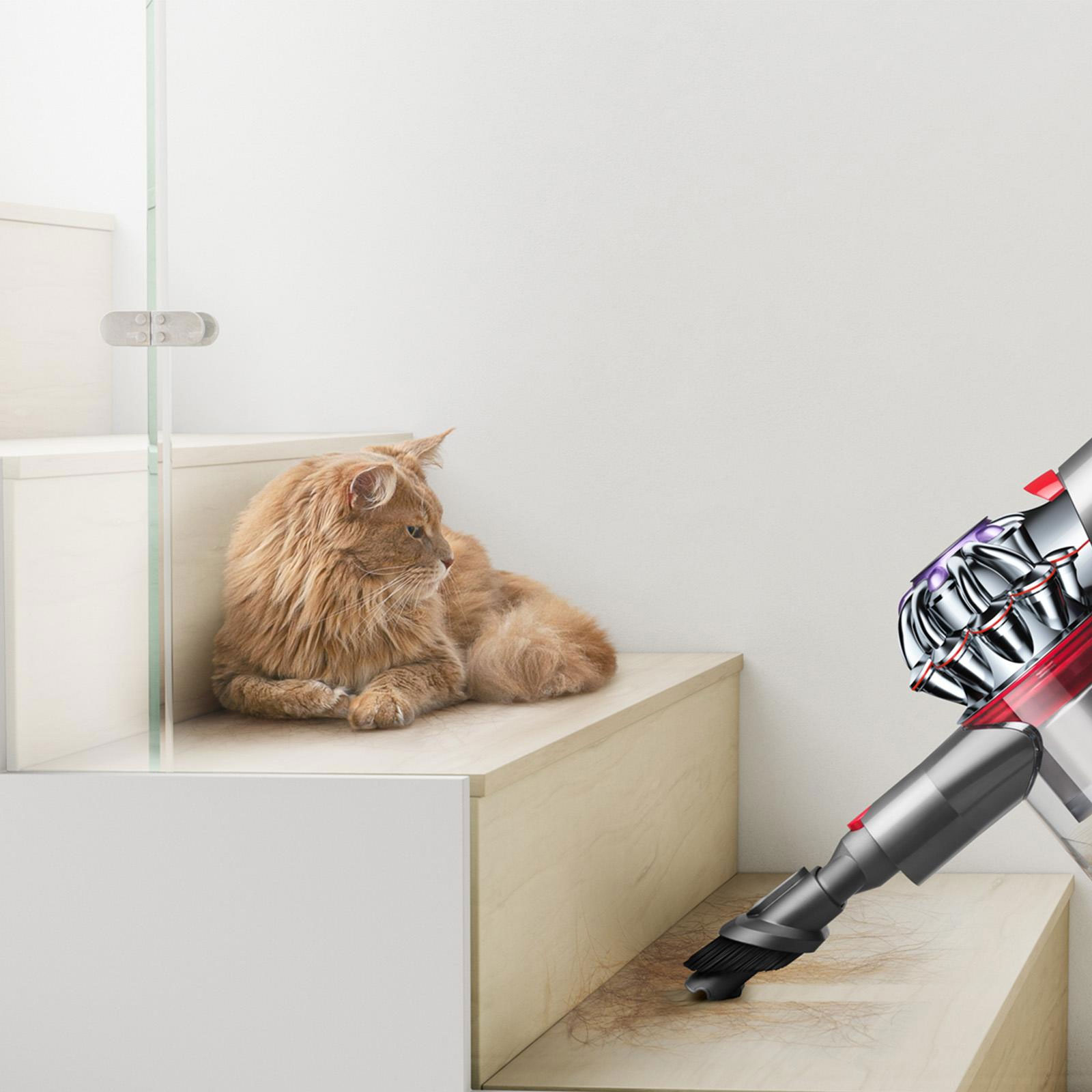 DYSON V8 Absolute Akku-Handstaubsauger mit Stiel DYSON V8 Absolute Akku-Handstaubsauger mit Stiel