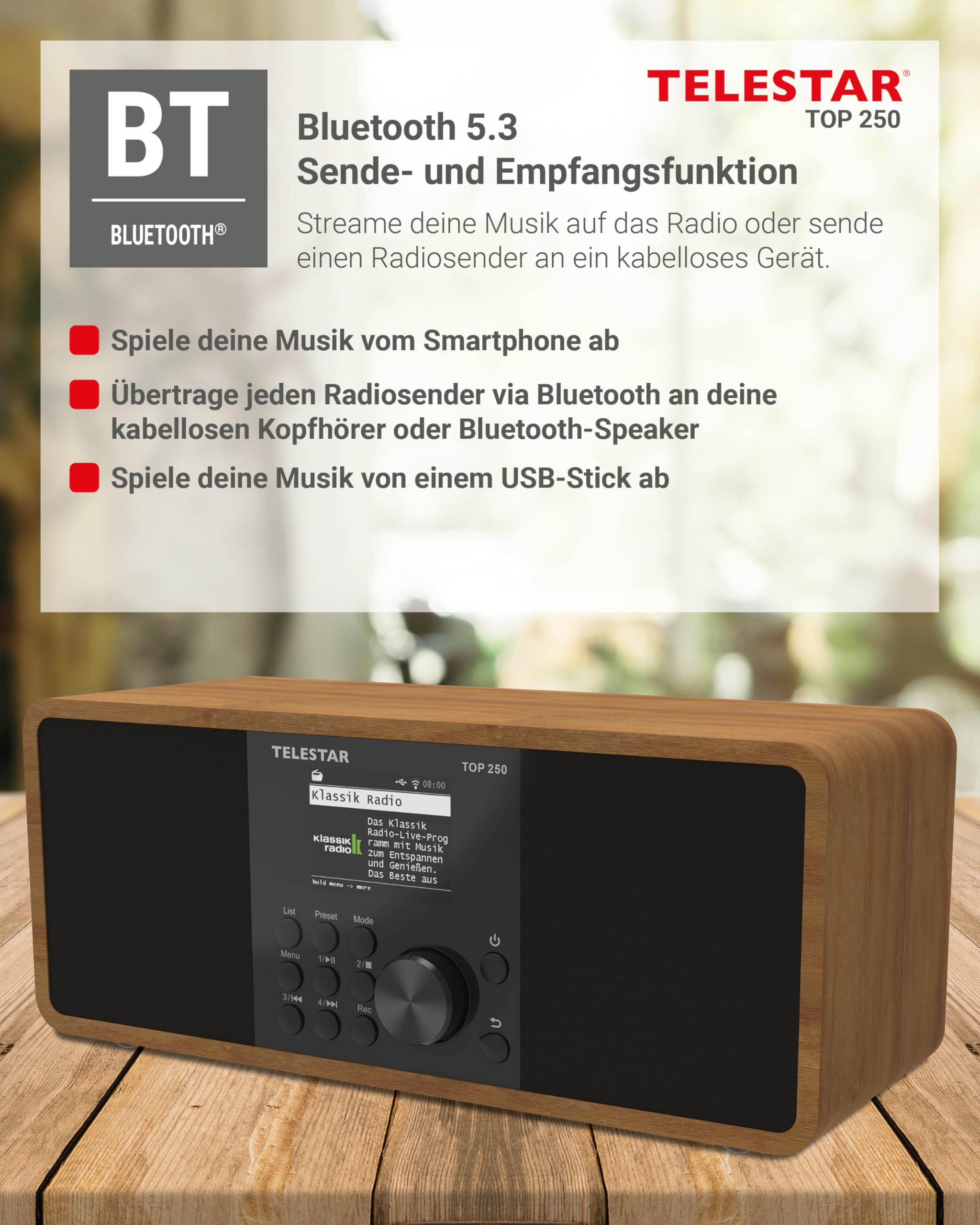 TELESTAR TOP 250 – DAB+/Internetradio