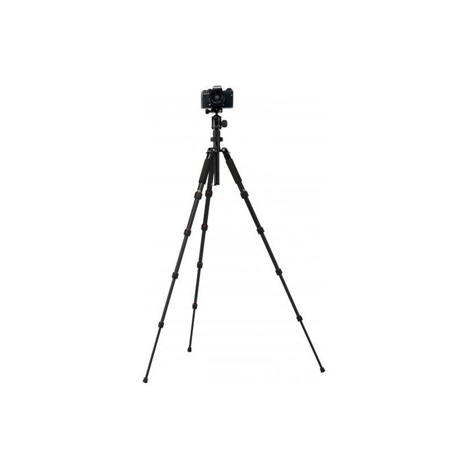 Rollei Compact Traveler No. 1