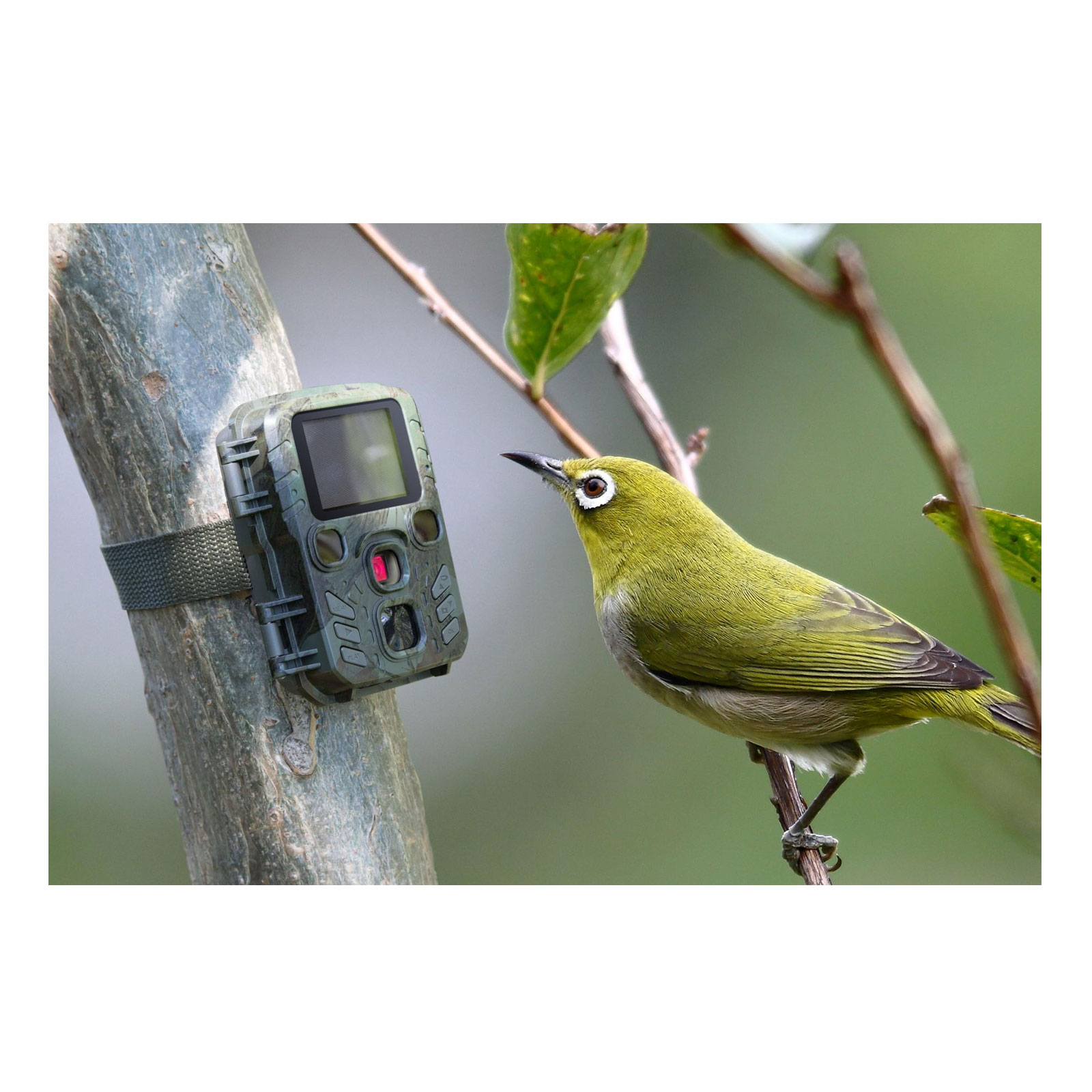 Technaxx Nature Wild Cam TX-117 Technaxx Nature Wild Cam TX-117