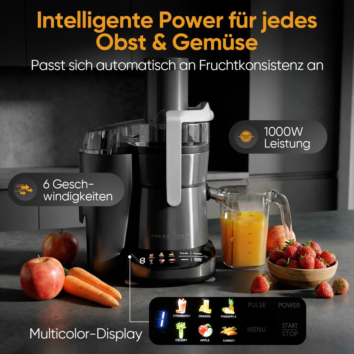 PROFICOOK PC-AE 1326 dark inox Entsafter