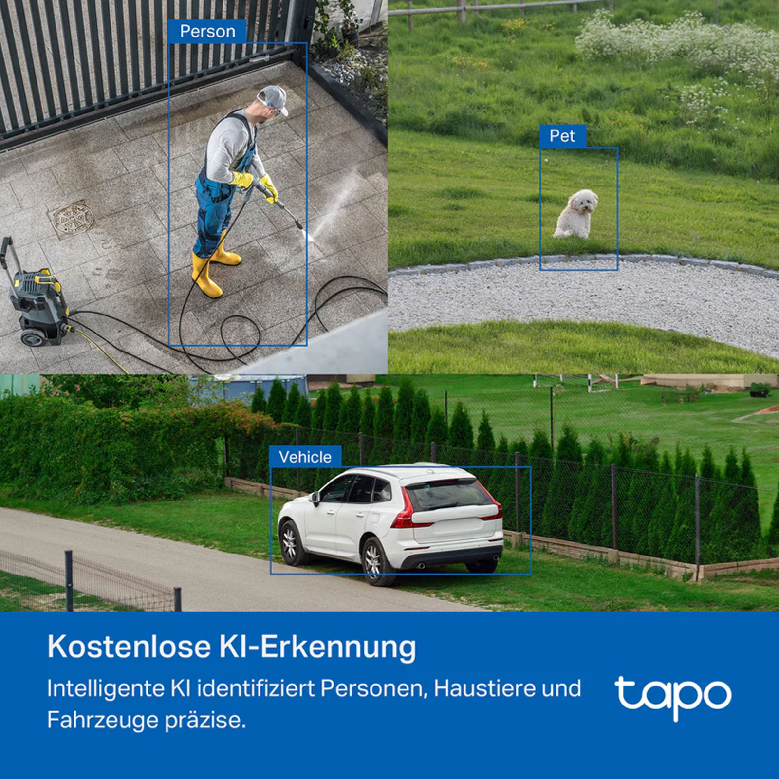 TAPO C530WS CAM - OUTD/IND
