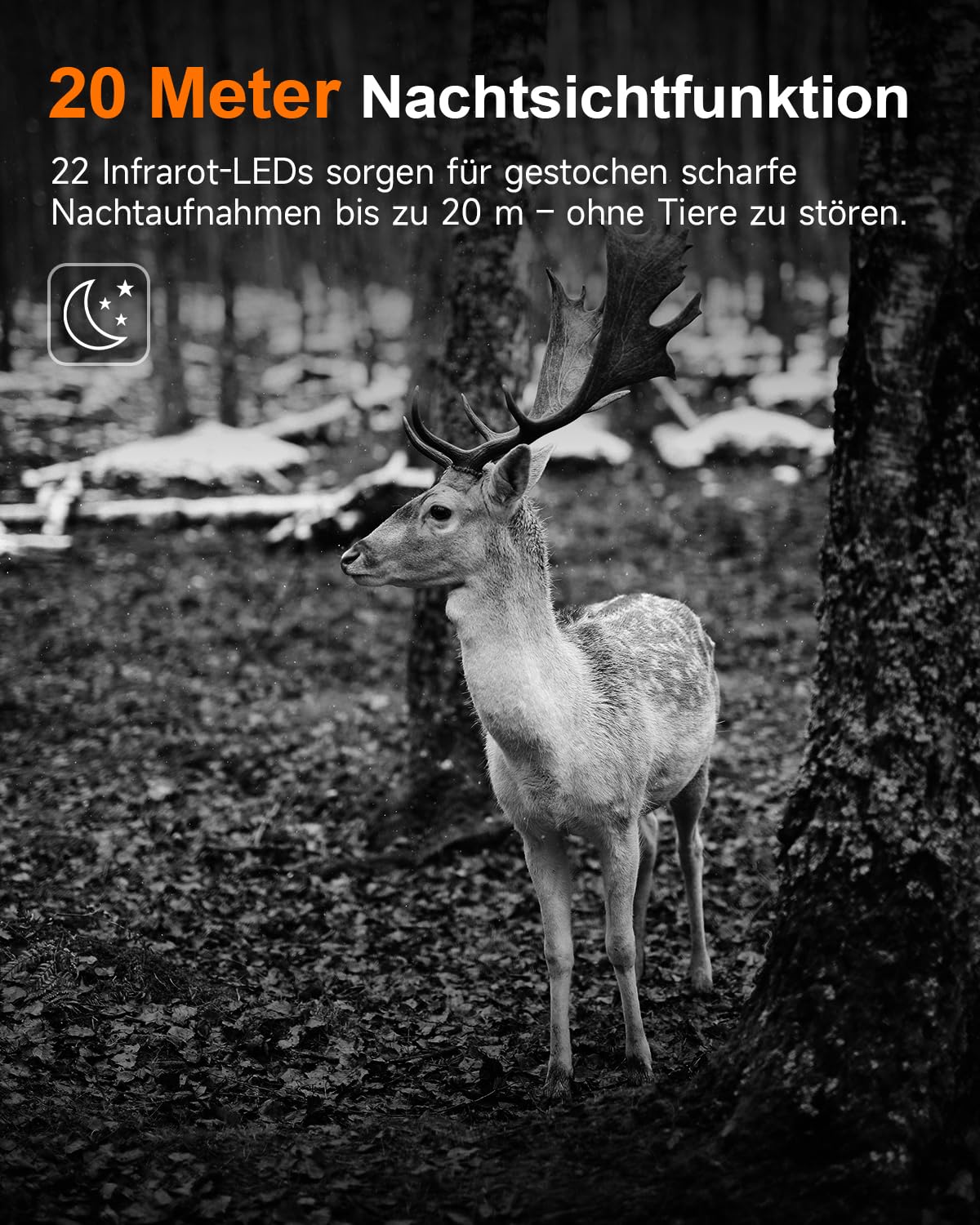 ROLLEI Wildkamera HD-30 Wildkamera