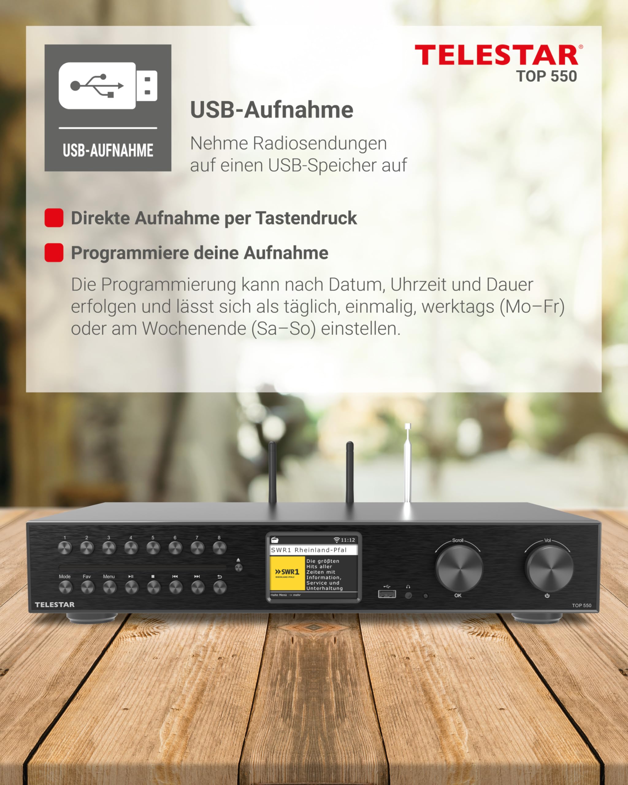 TELESTAR TOP 550 HiFi-System mit Verstärker und CD-Player Internetradio DAB+