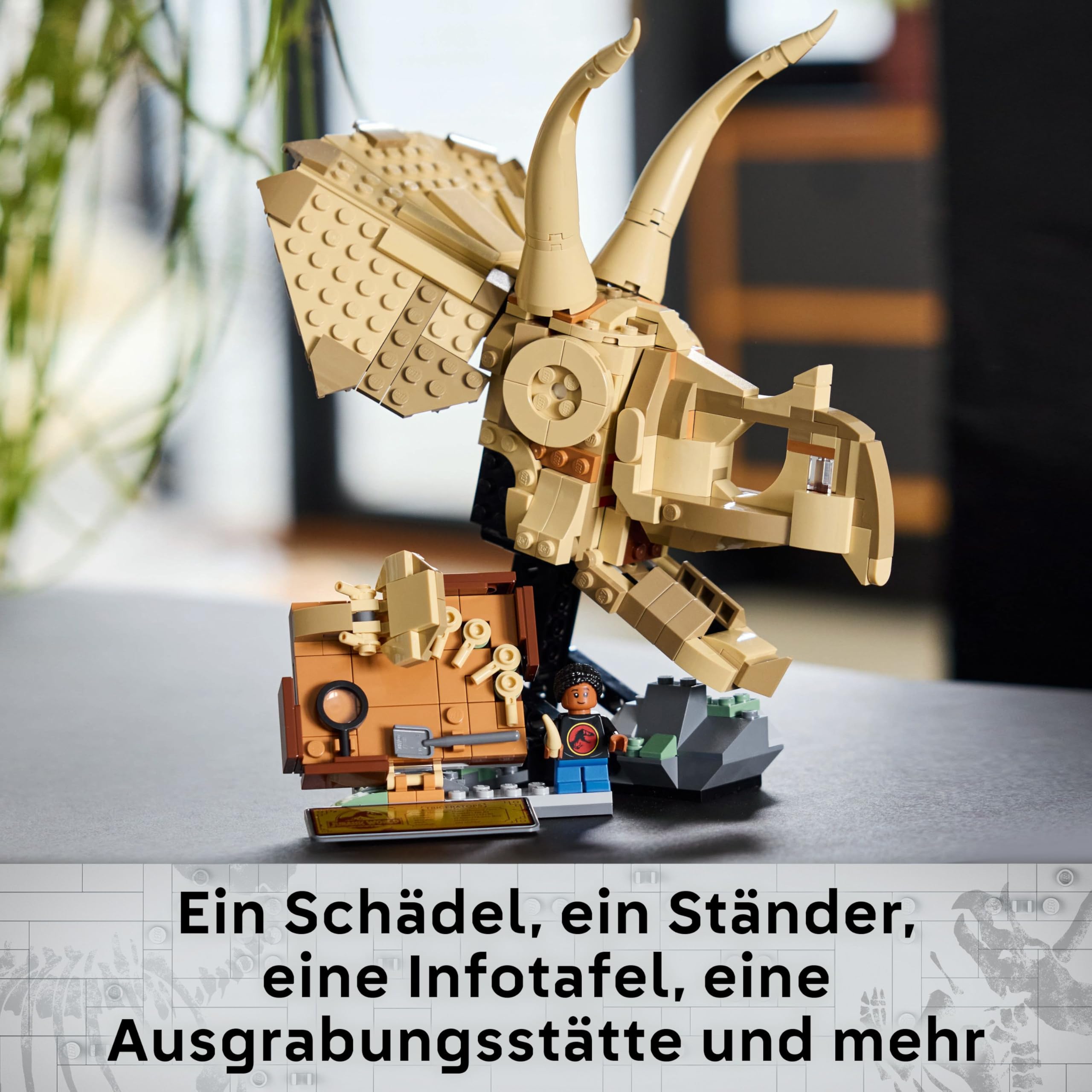 LEGO Jurassic World Dinosaurier-Fossilien: Triceratops-Schädel Modell 76969