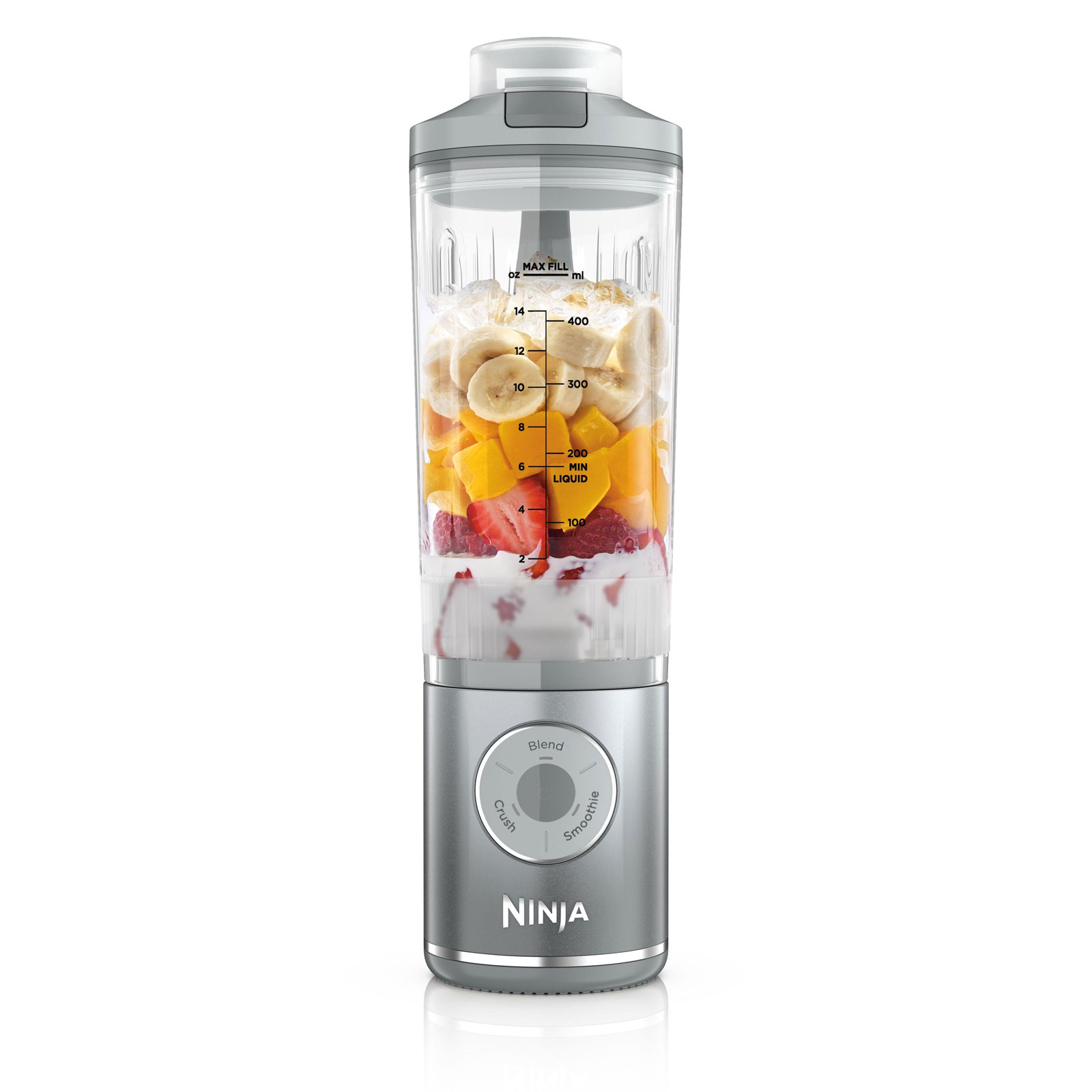 Ninja Blast Max BC251EUSL Standmixer