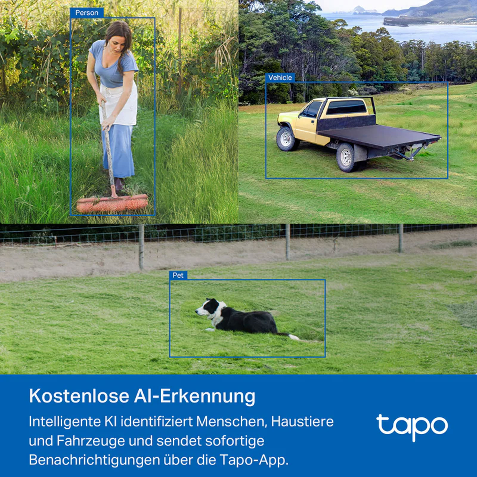 Tapo C501GW 360° Überwachungskamera, Weiß