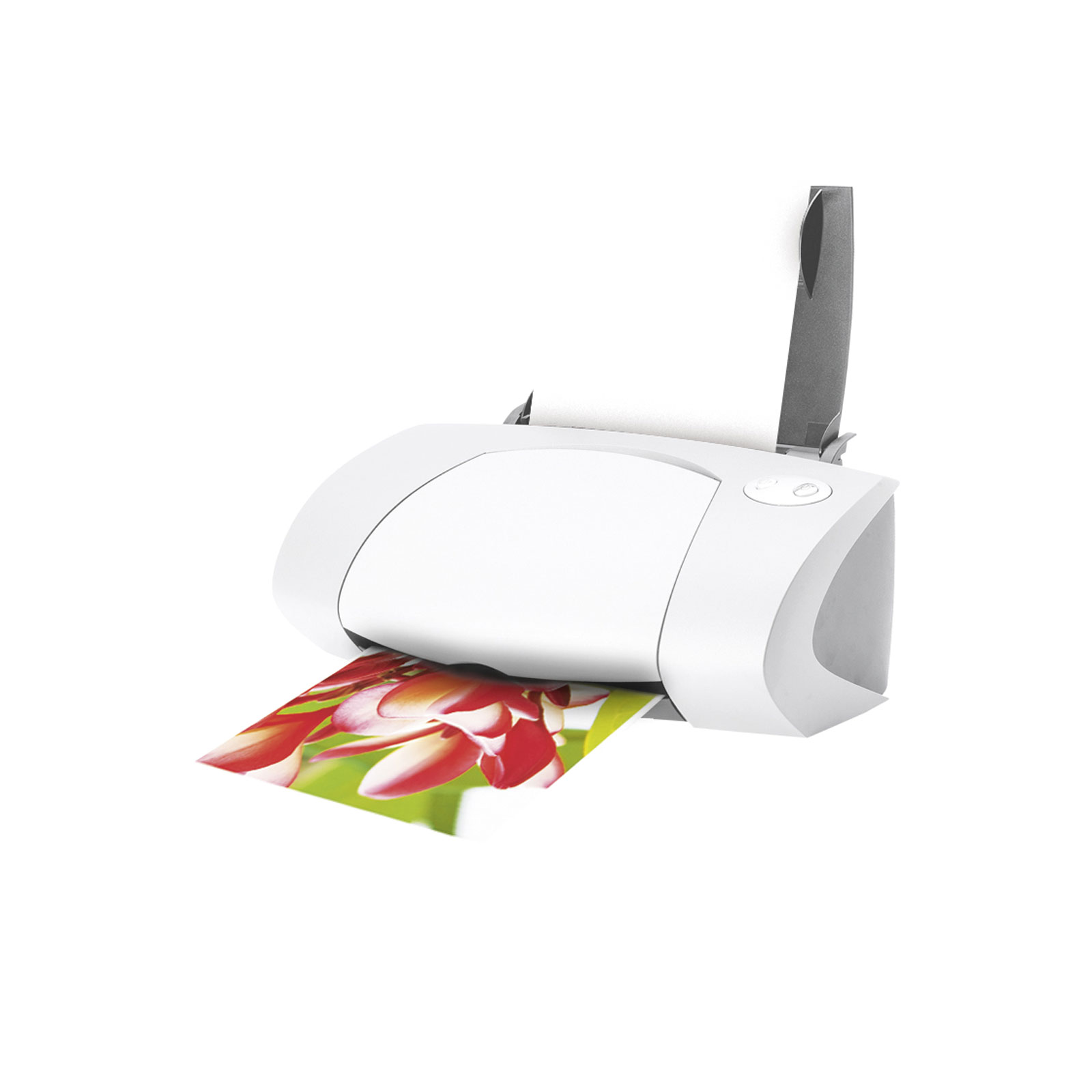 AVERY Zweckform 2556-20 Fotopapier (Premium Inkjet, DIN A4, einseitig beschichtet, 250 g/m², 20 Blatt)