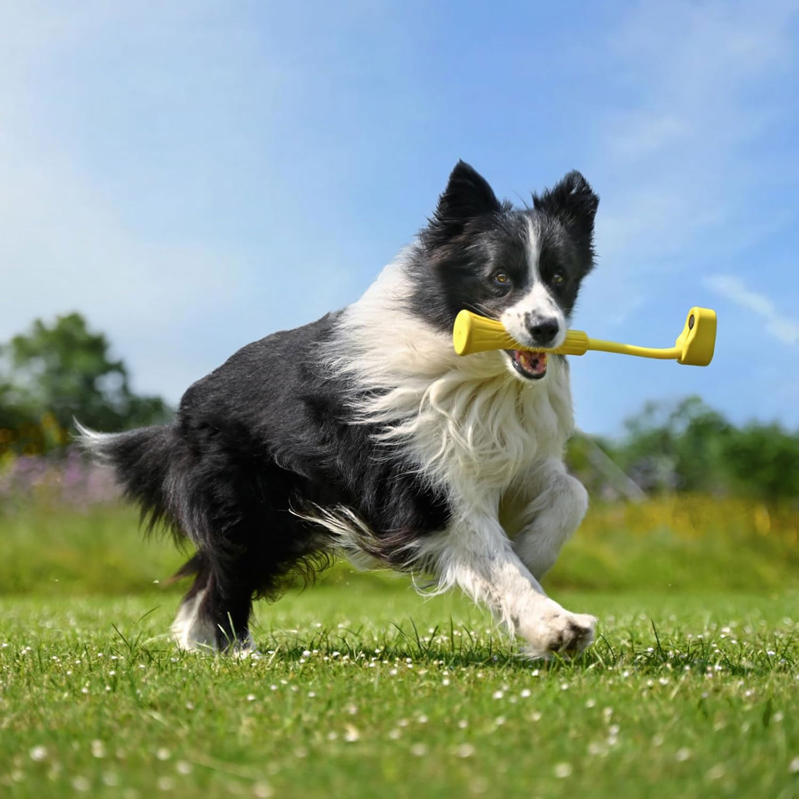 Insta360 GO 3 Apportier-Stick