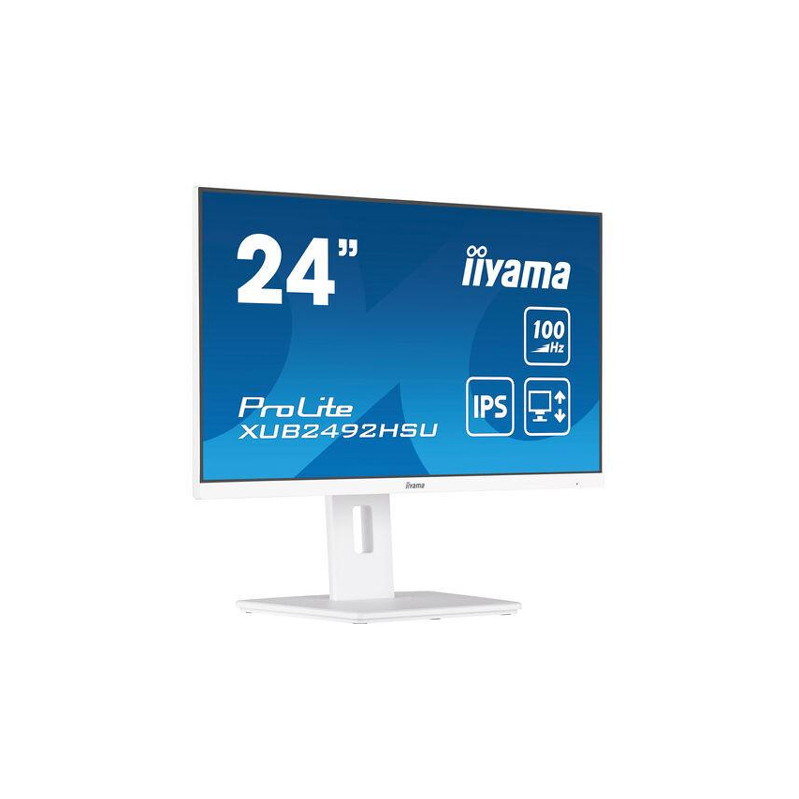 iiyama ProLite XUB2492HSU-W6