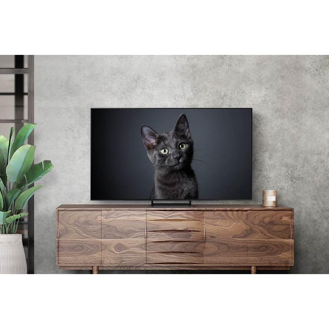 Samsung GQ55S90CATXZG