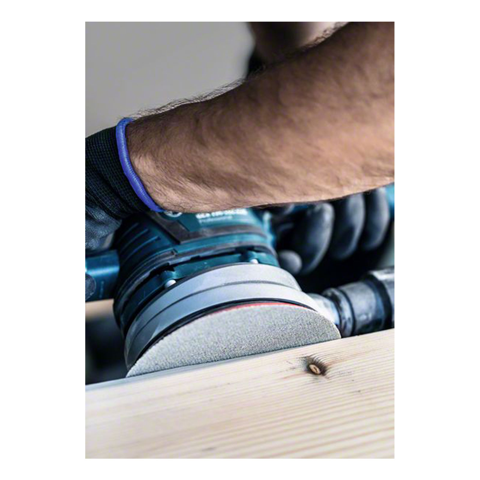 Bosch Professional Expert M480 Schleifnetz fuer Exzenterschleifer, 150 mm, G 80, 50 Stueck Bosch Professional Expert M480 Schleifnetz fuer Exzenterschleifer, 150 mm, G 80, 50 Stueck