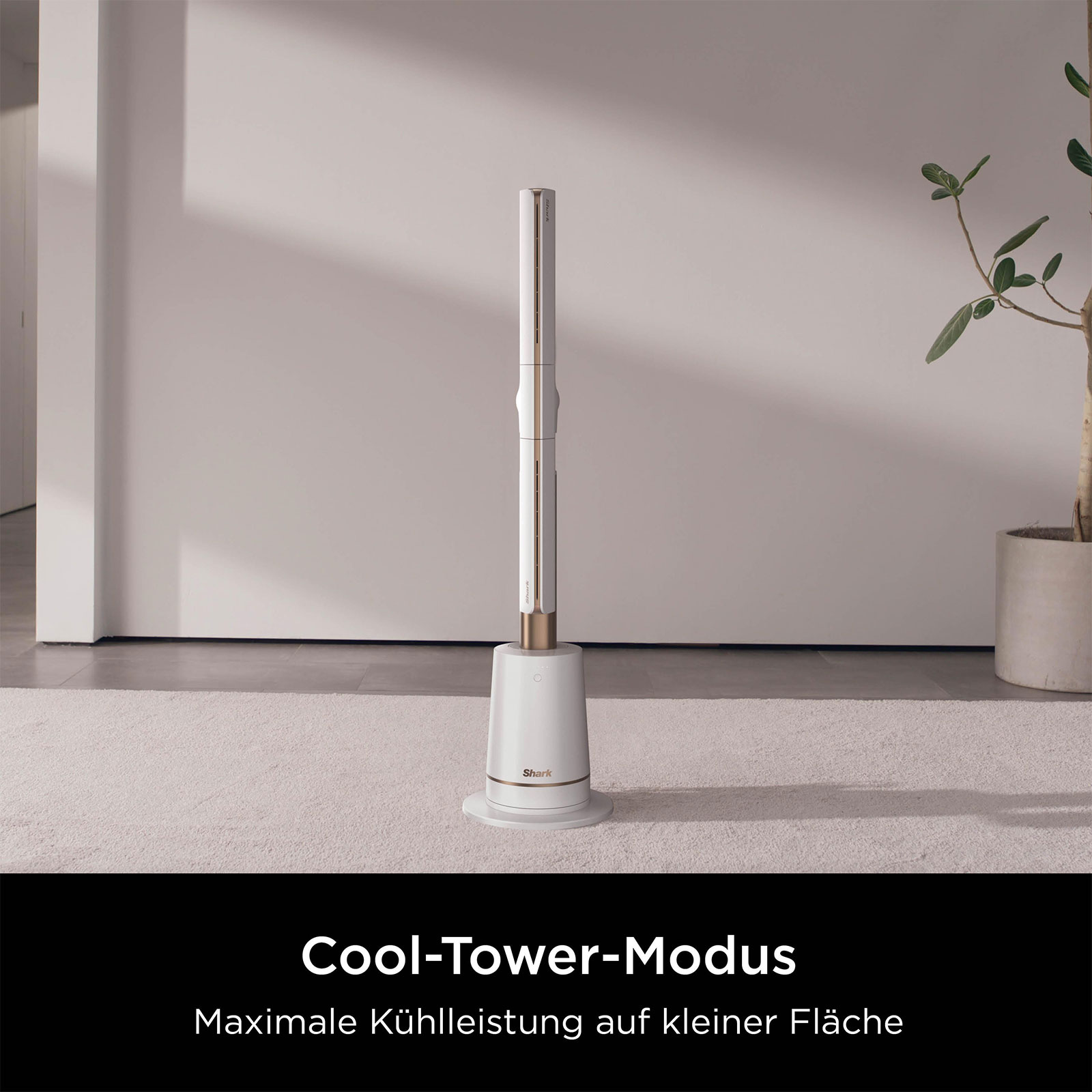 Shark TF200SEUWH Standventilator