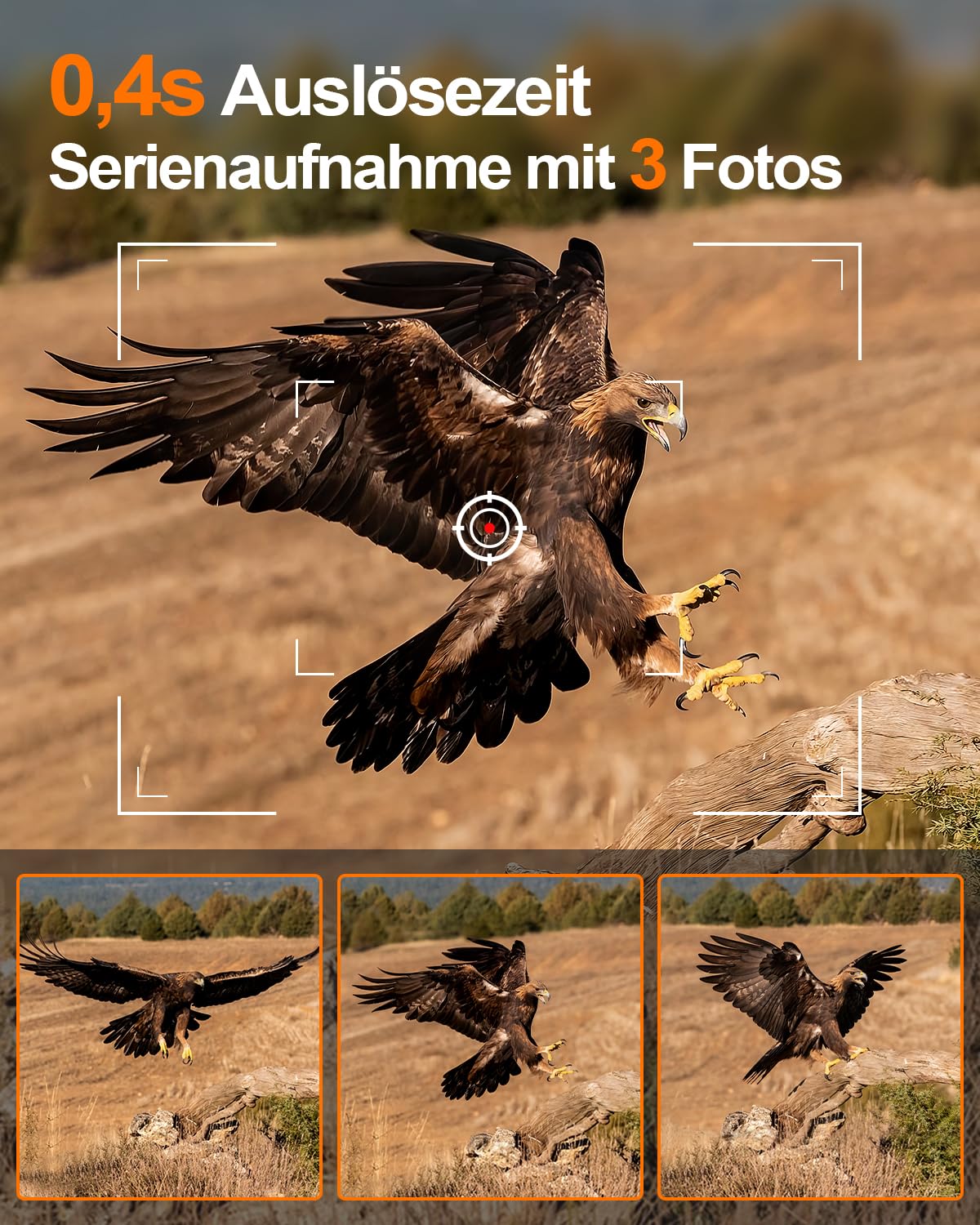 ROLLEI Wildkamera HD-30 Wildkamera