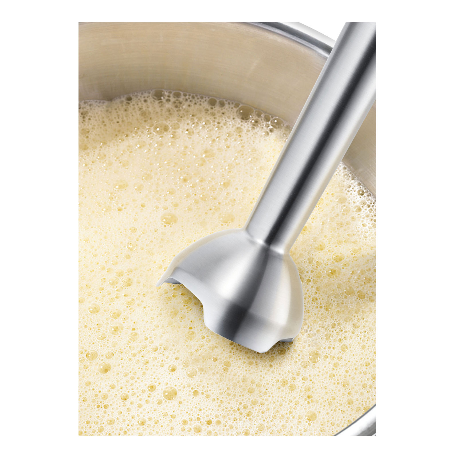 Bosch MSM88166 Stabmixer