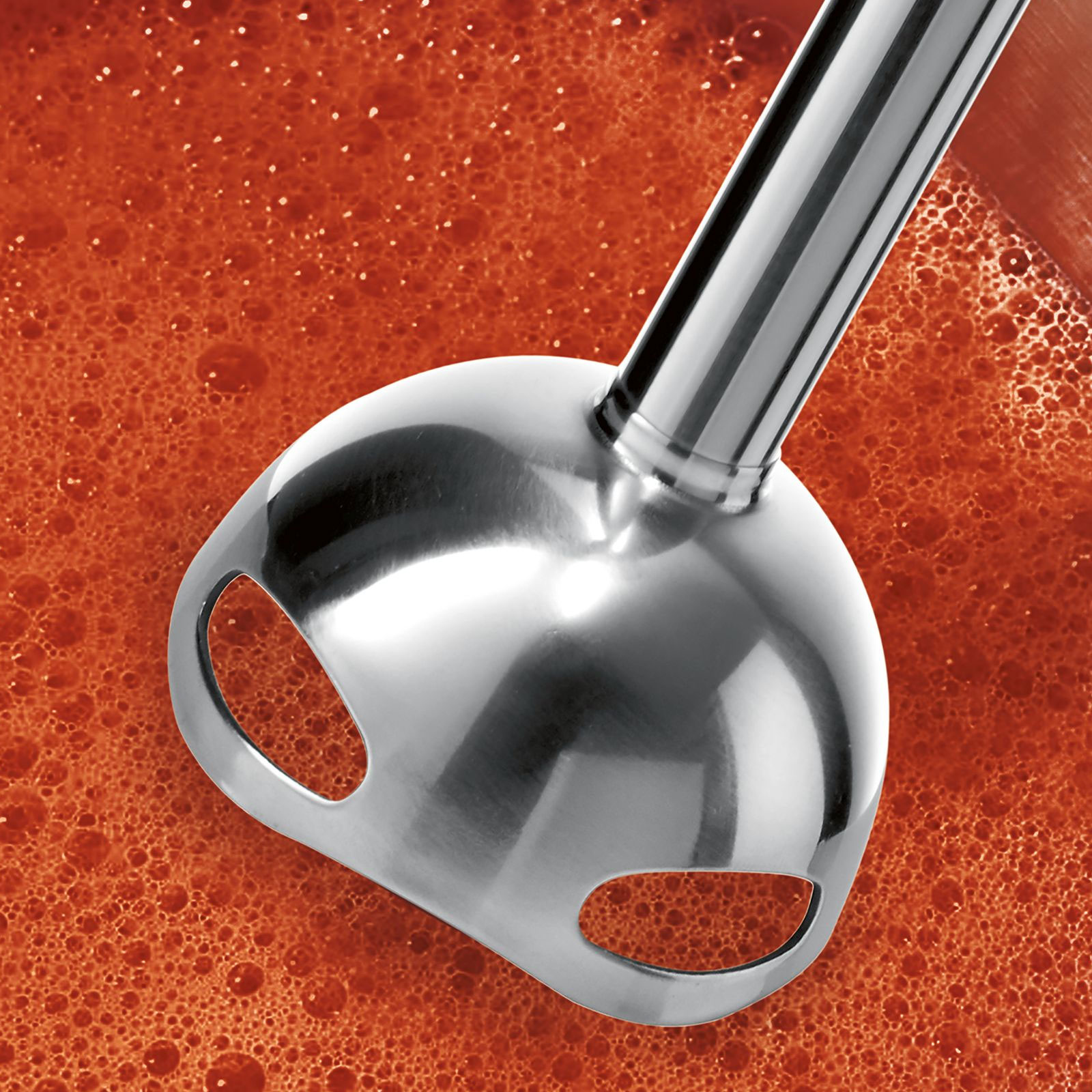 Bosch MS6CM6166 Stabmixer
