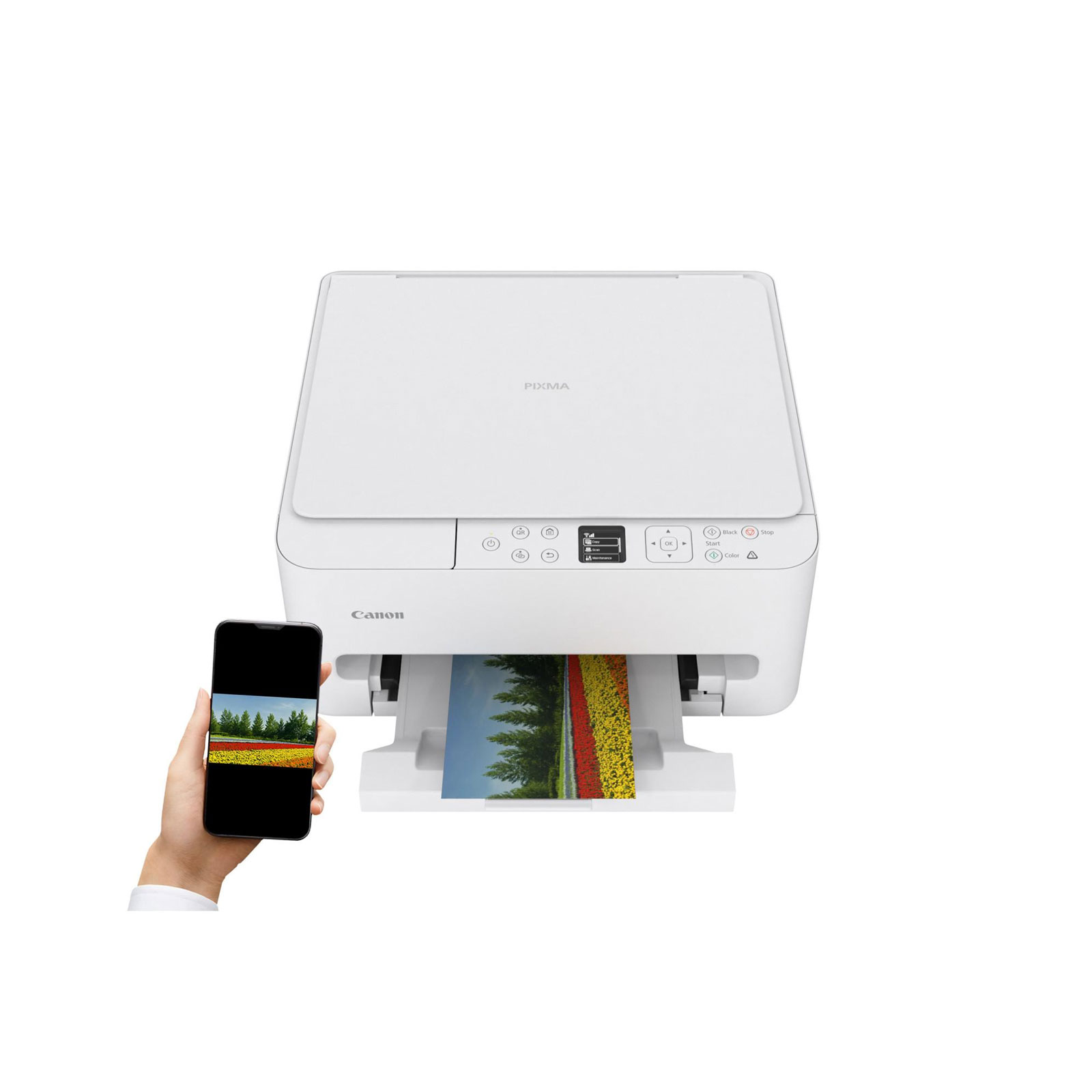 CANON PIXMA TS6550i Multifunktionsdrucker, Weiß (Drucken, Kopieren, Scannen, WLAN, USB, Apple AirPrint, Canon iEasy-PhotoPrint, Mopria Print Service, Cloud Integration Service, Duplex, A4)