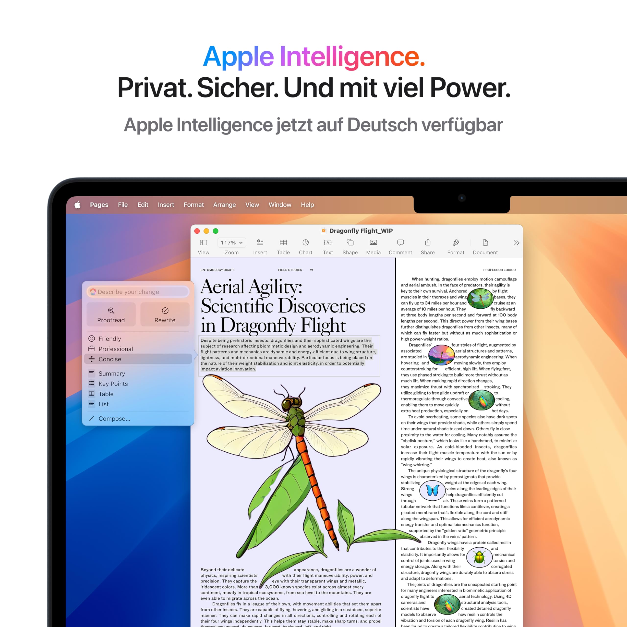 Apple MacBook Air 13"