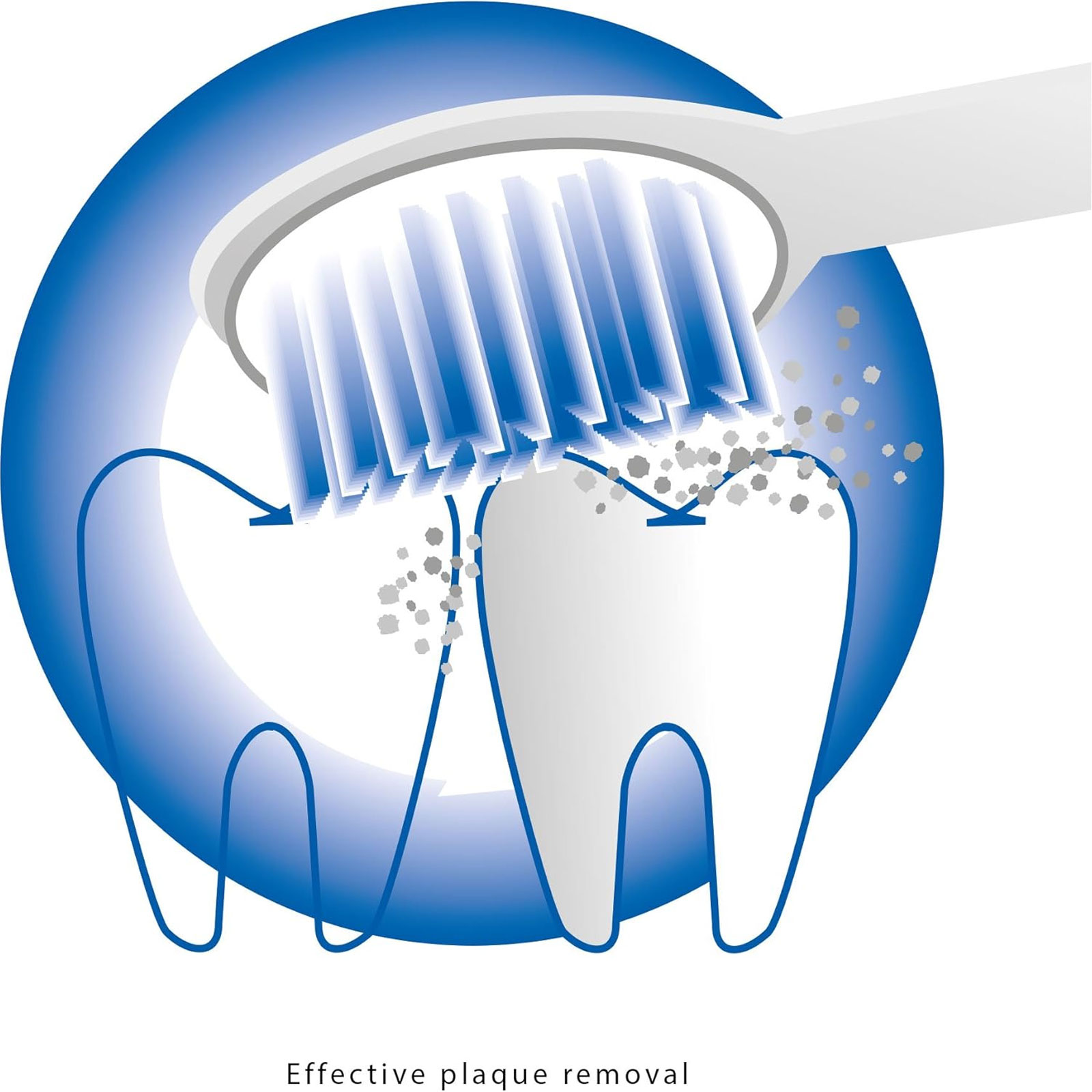 PROFI CARE PC-EZS 3000 Schallzahnbürste PROFI CARE PC-EZS 3000 Schallzahnbürste
