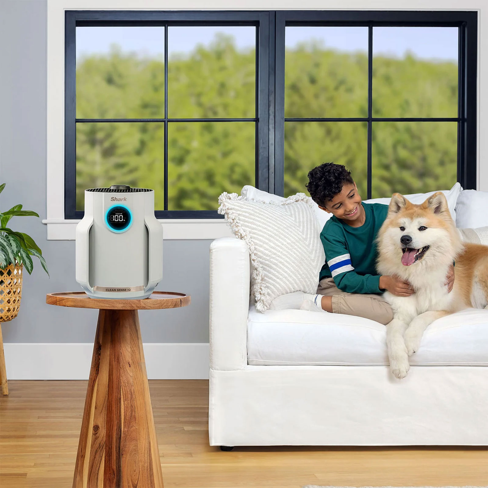 Shark HP072EU Luftreiniger