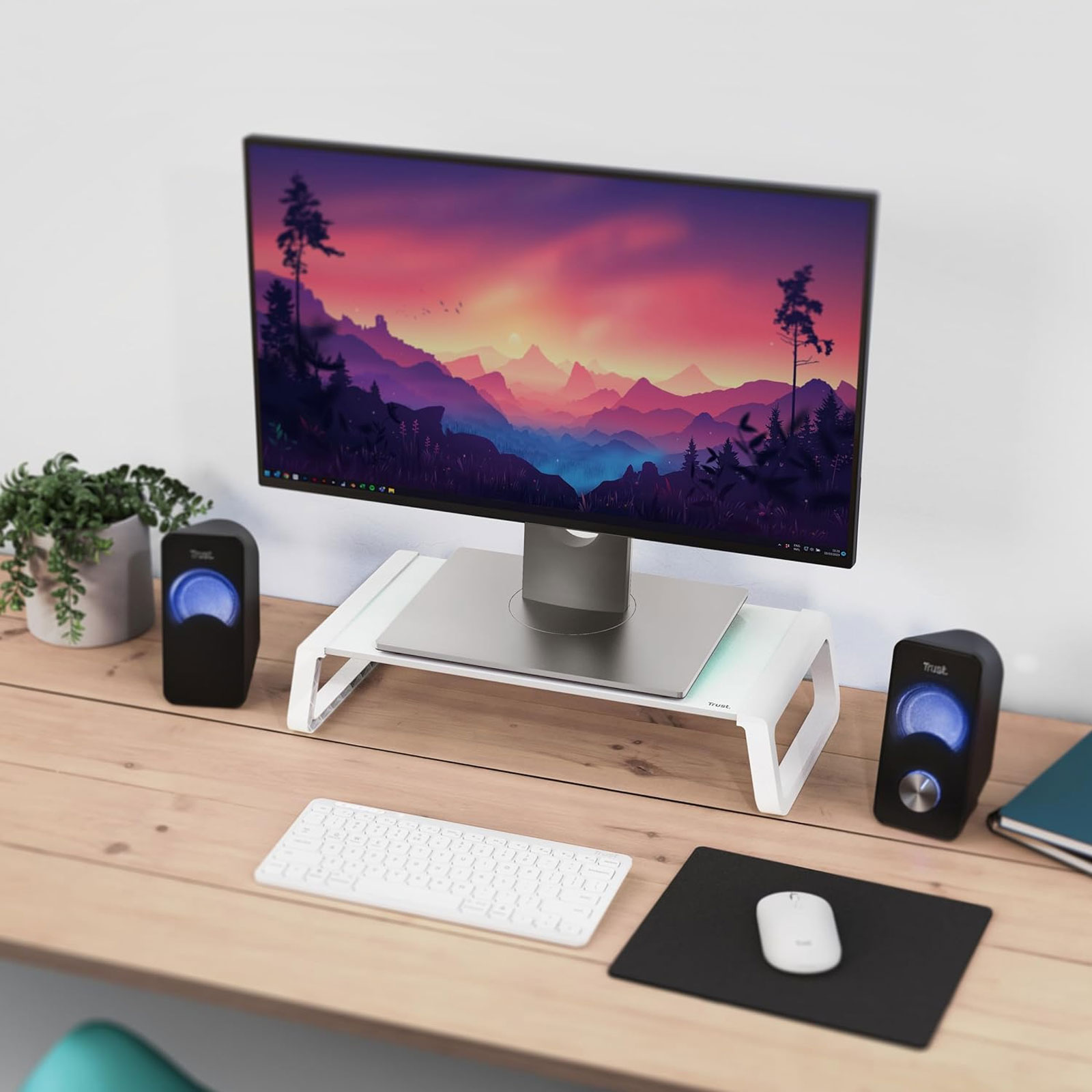 Trust Monta Bildschirmhalterung aus Hartglas