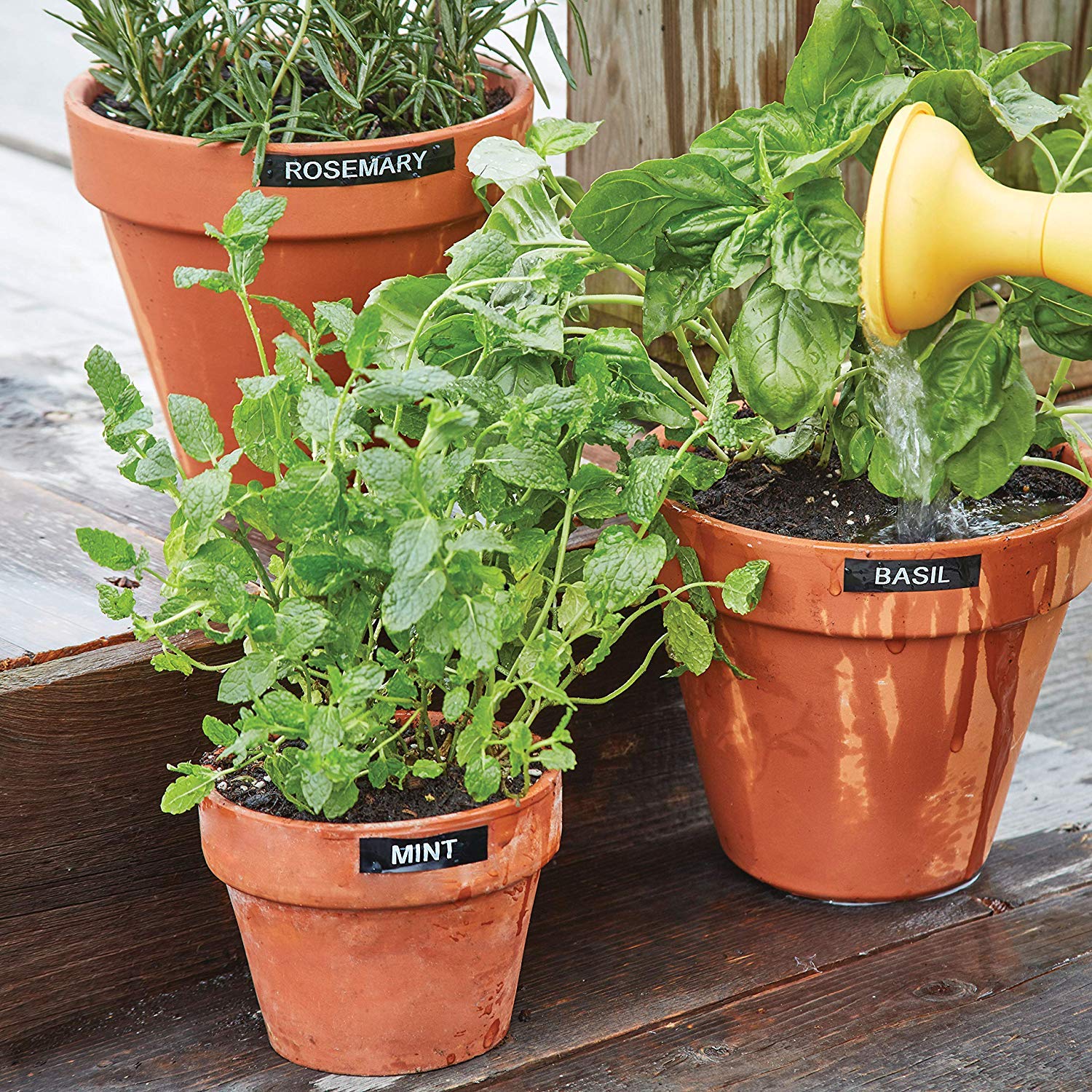 Dymo LabelManager 160 6/9/12 mm D1-Bänder Azerty Beschriftungsgerät