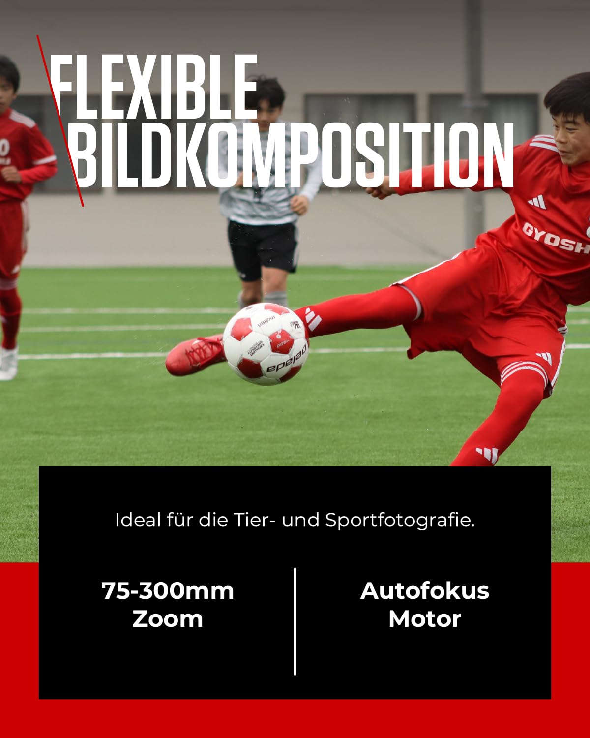 Canon RF 75-300mm F4-5.6 Objektiv