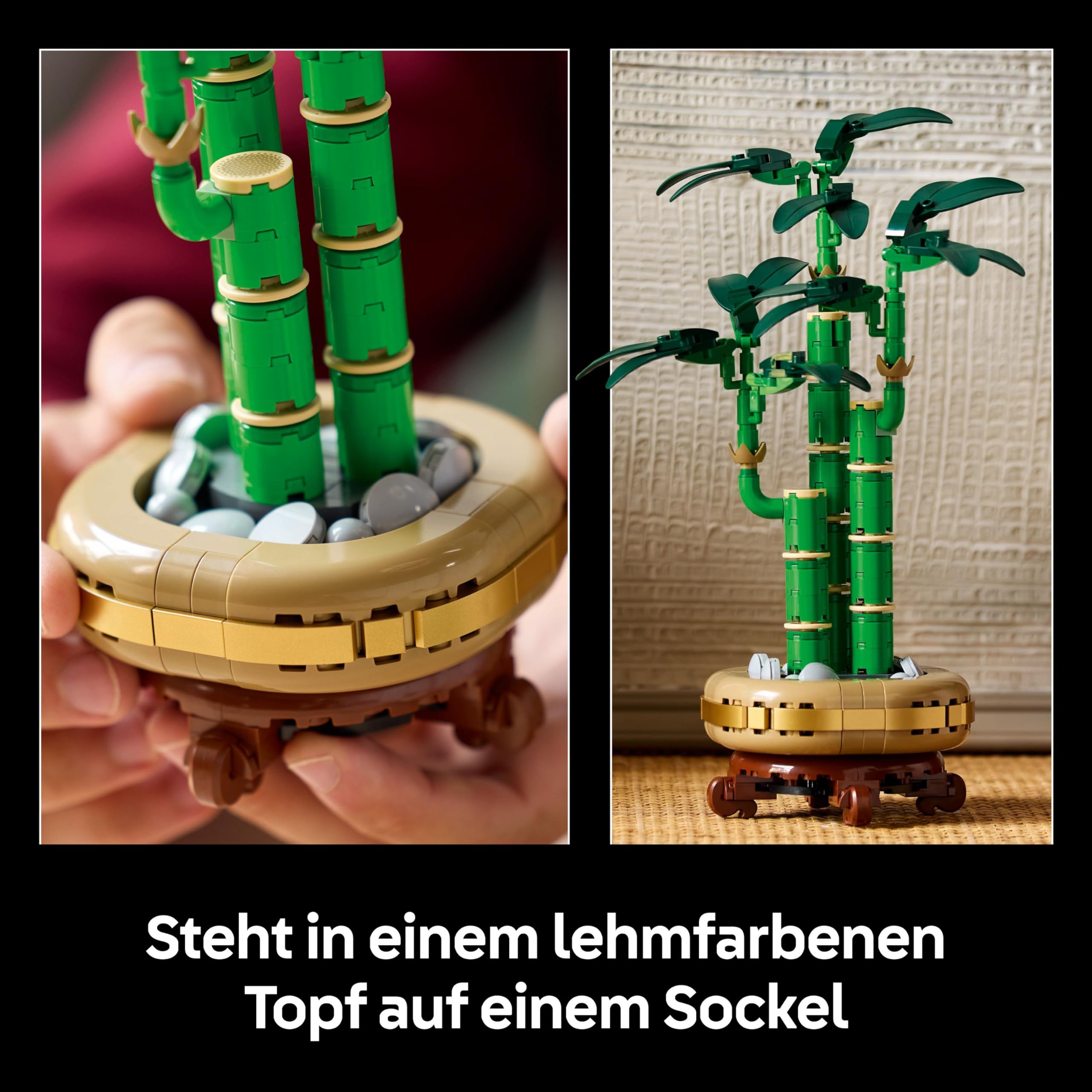 LEGO Botanicals Glücks-Bambus Kunstpflanze Bauset 10344