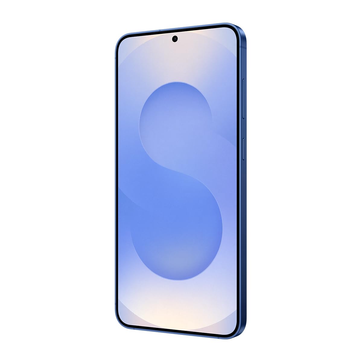 Samsung GALAXY S25 5G SM-S931BDBDEUB Smartphone