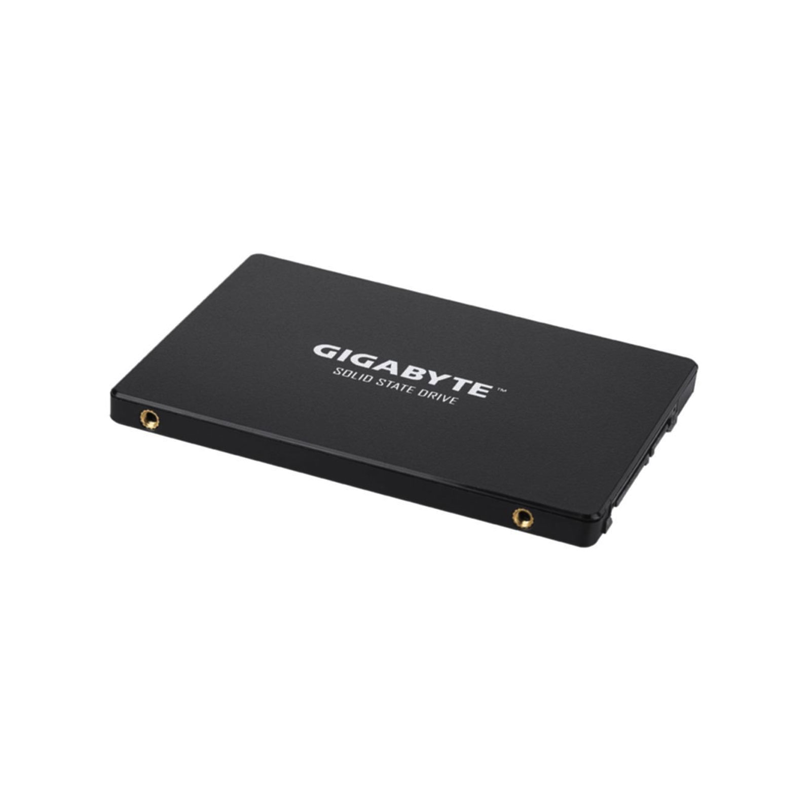 Gigabyte 256 GB Sata3 2,5" GP-GSTFS31256GTND Interne SSD-Festplatte