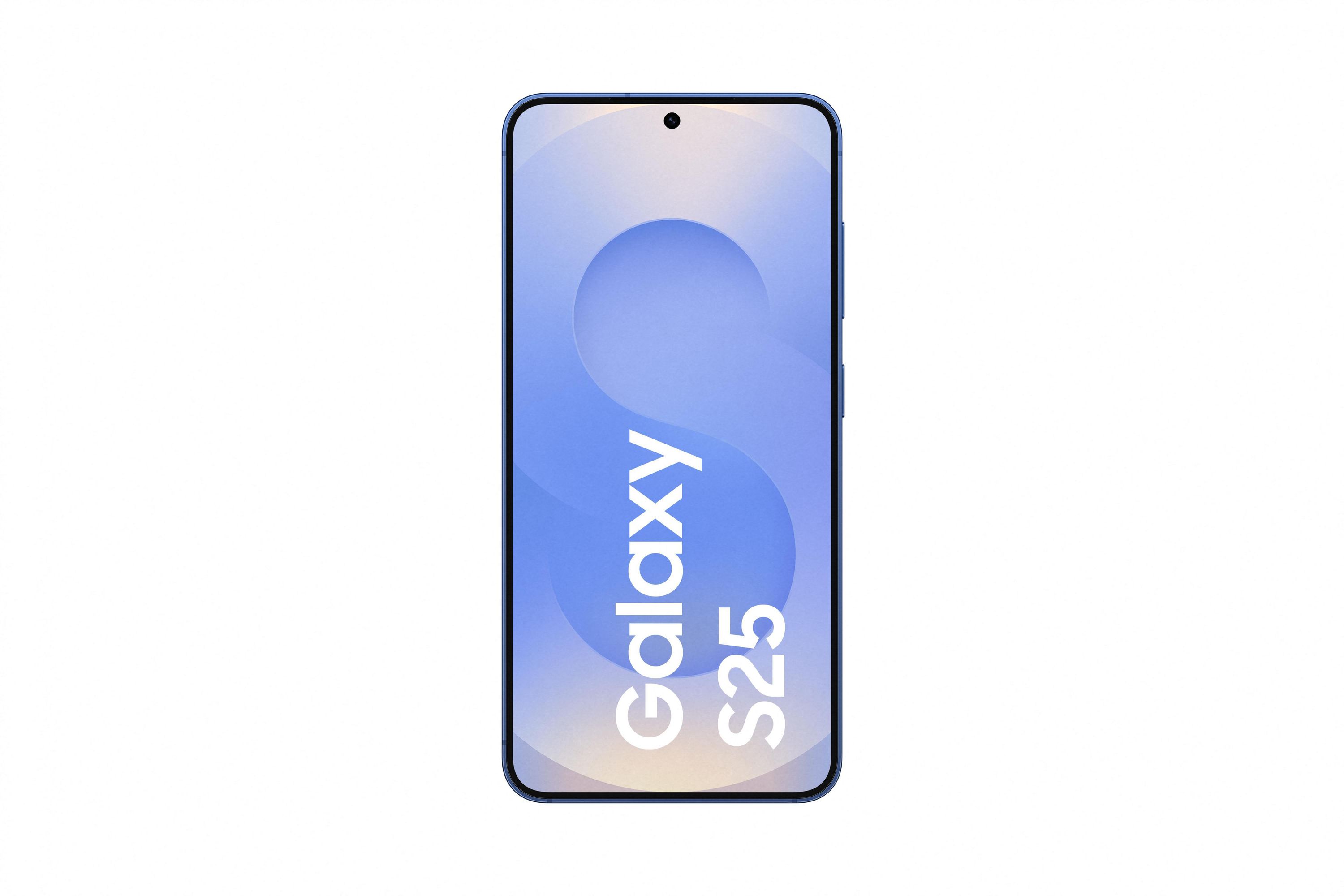 Samsung S931 Galaxy S25 5G