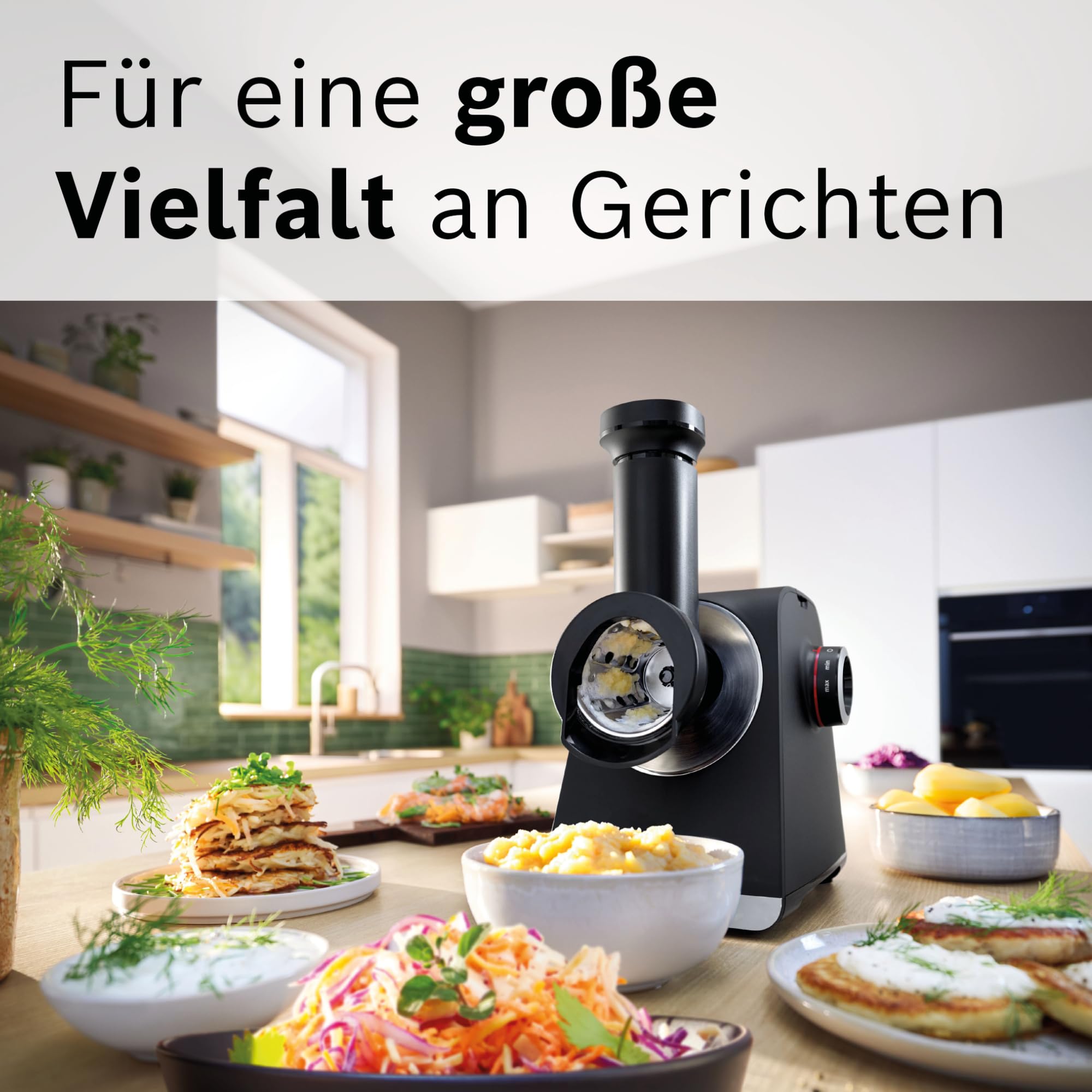 Bosch Zubehör Trommelraspel für Fleischwolf Serie 4 und Serie 6