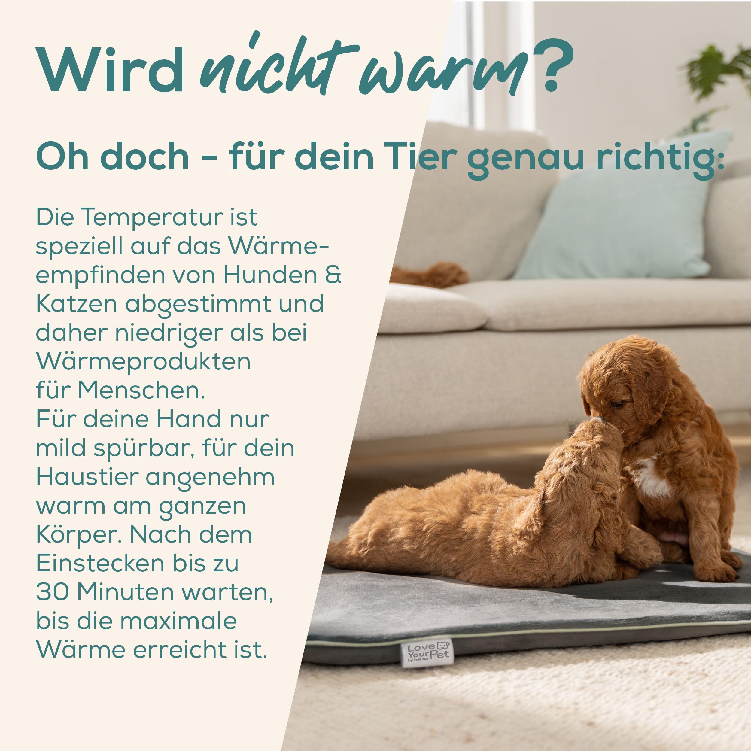 Beurer Love Your Pet Heizmatte L Sammy für Hunde und Katzen