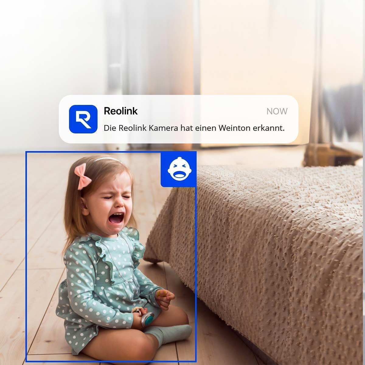 Reolink E Series E321 Innenkamera