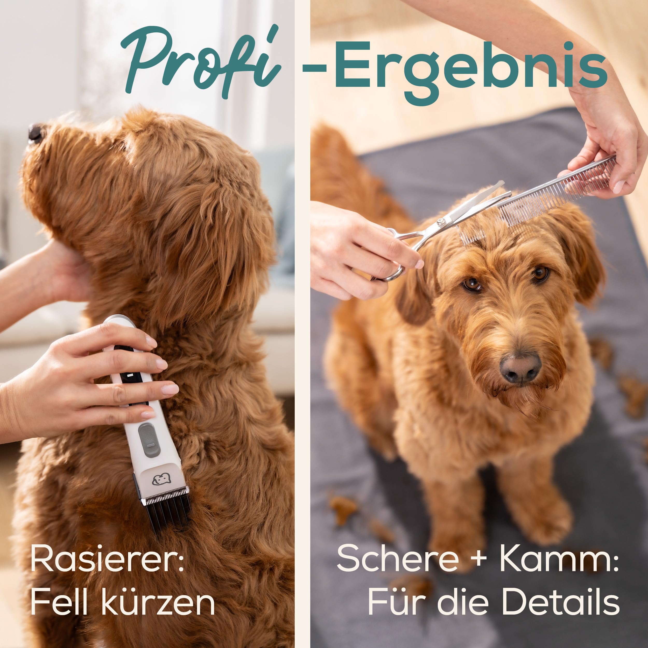 Beurer Love Your Pet Schermaschine "Fluffy" für Hunde und Katzen